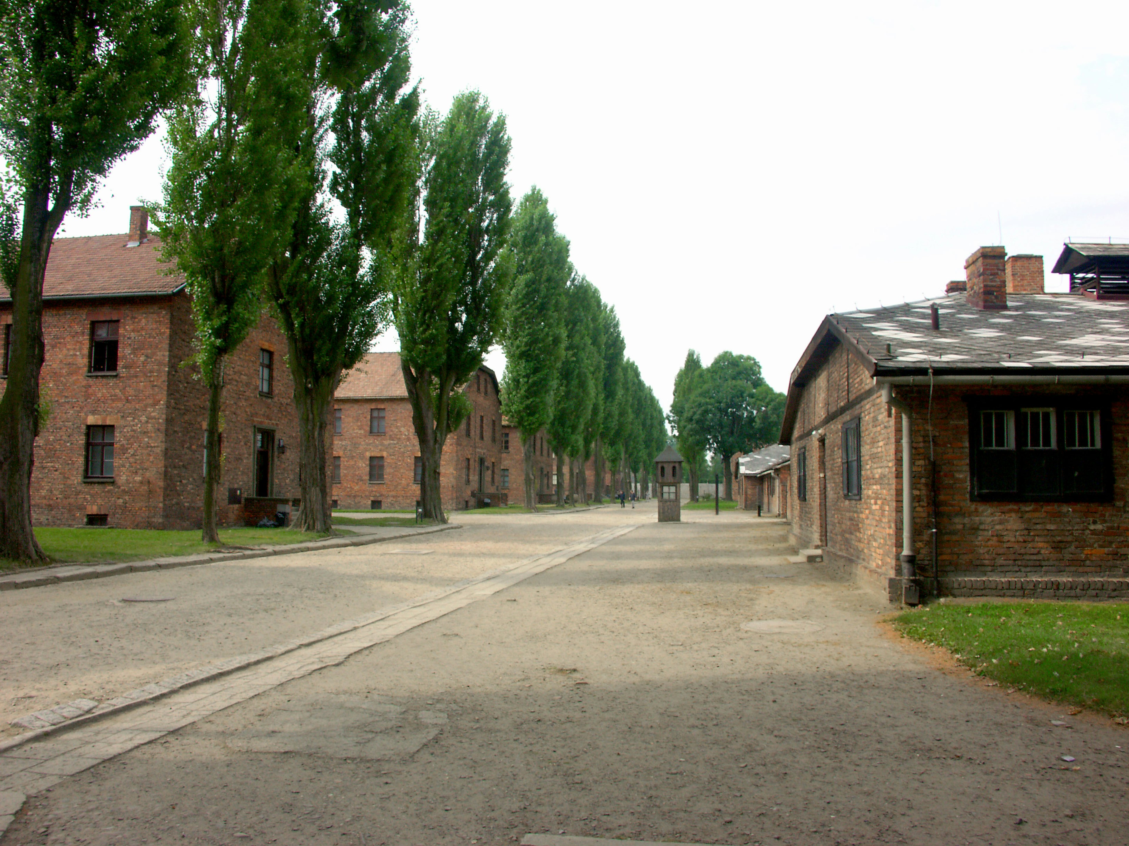 Vista de la calle de Auschwitz con árboles alineados y edificios de ladrillo