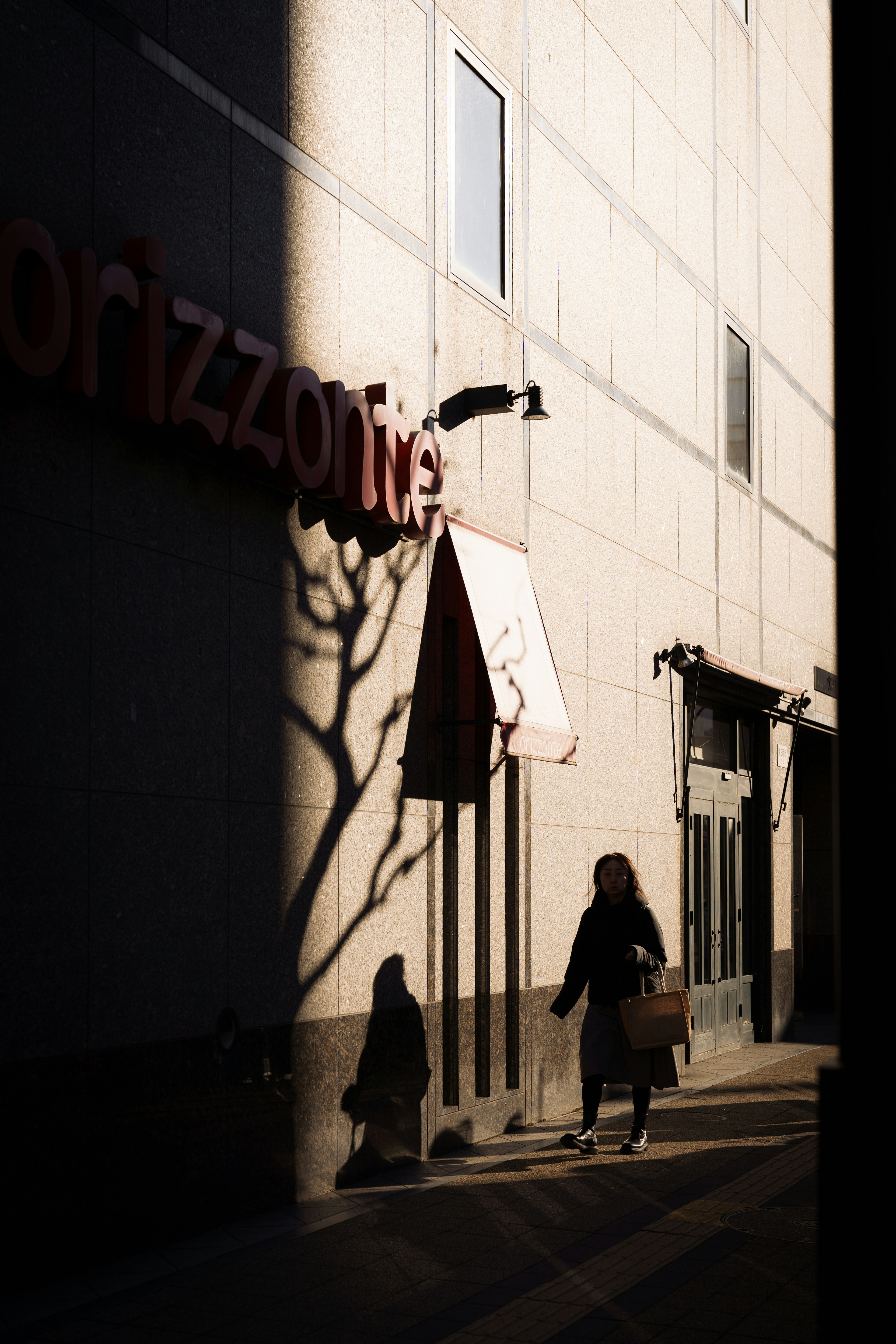 Una mujer caminando junto a un edificio con sombras proyectadas en la pared