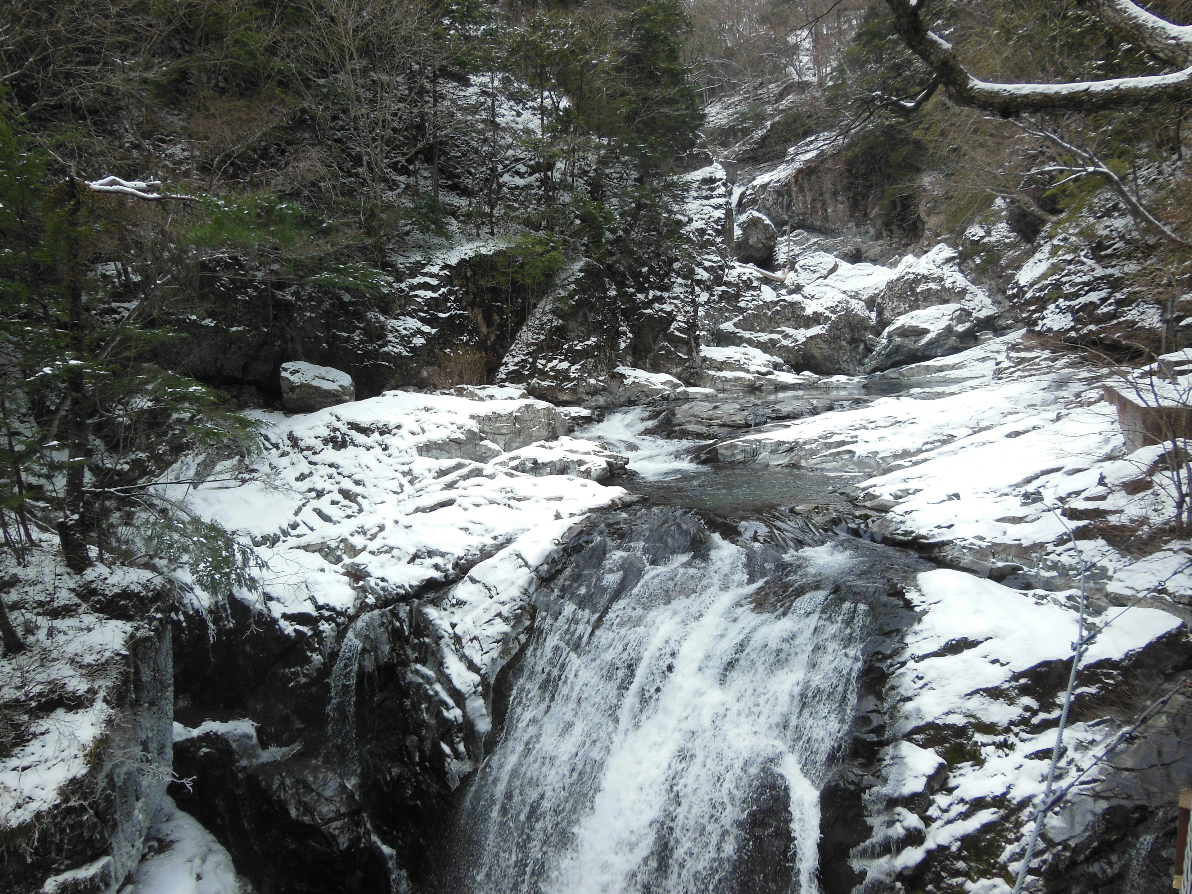 Vista panoramica di una cascata e rocce coperte di neve con un'atmosfera forestale serena