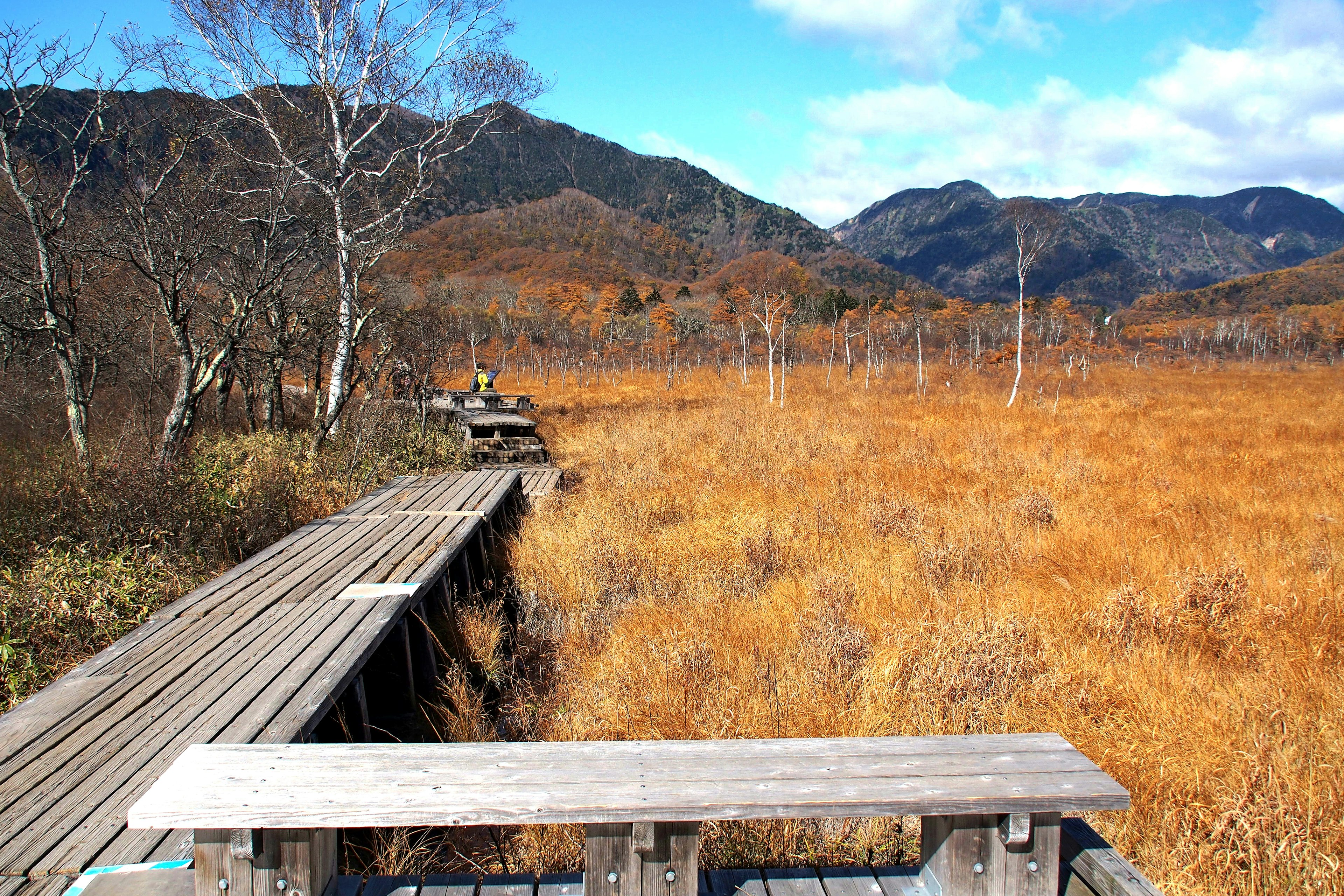 Scenic view of a grassy landscape with a wooden walkway