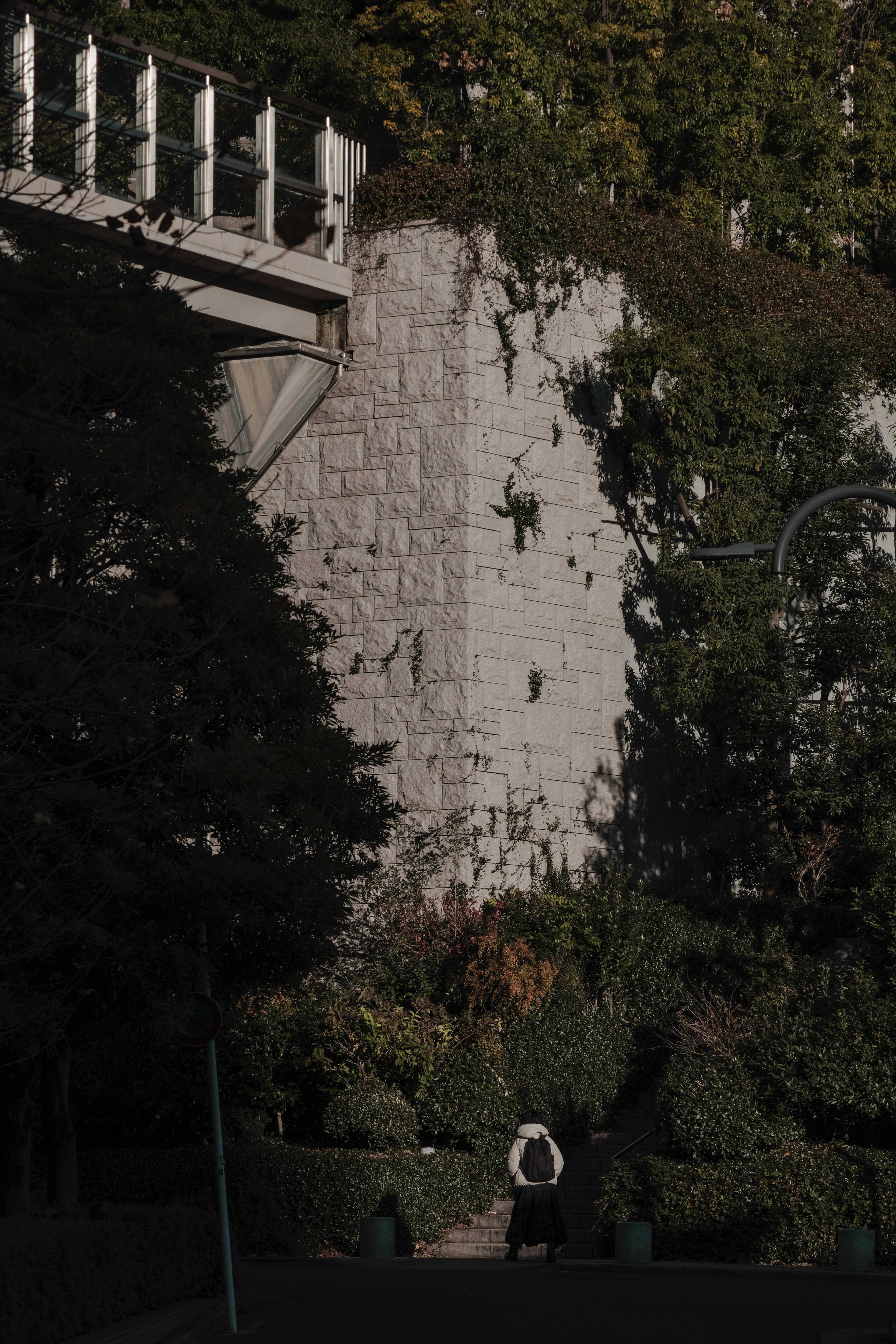 Une personne se tenant devant un mur de pierre avec une verdure luxuriante