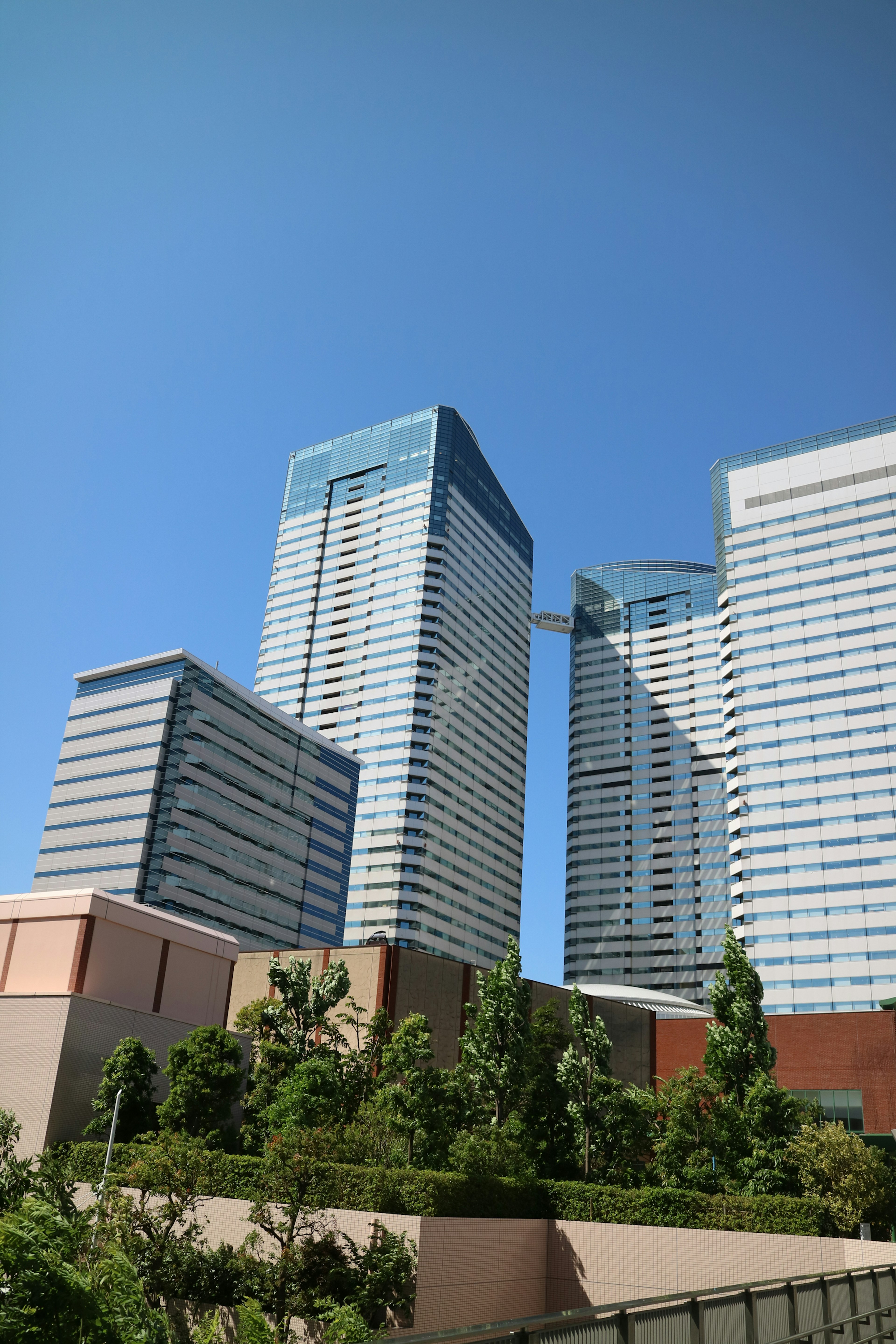 Edificios de gran altura bajo un cielo azul claro con vegetación exuberante