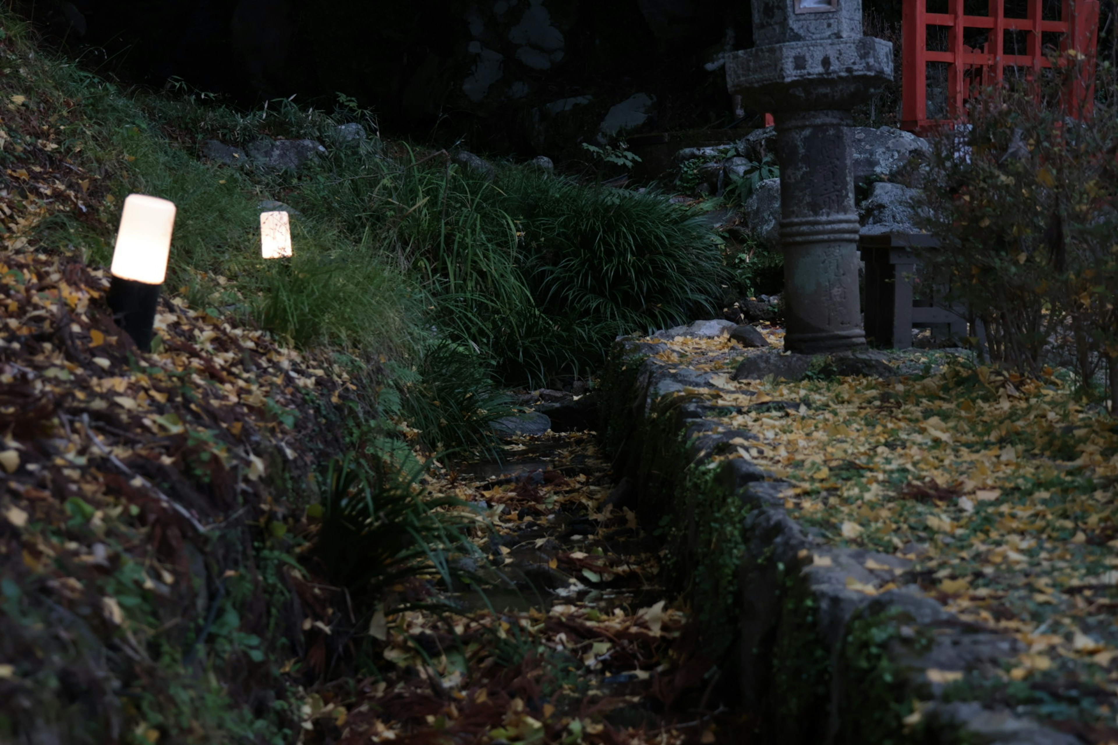 Chemin avec des lumières et des feuilles tombées