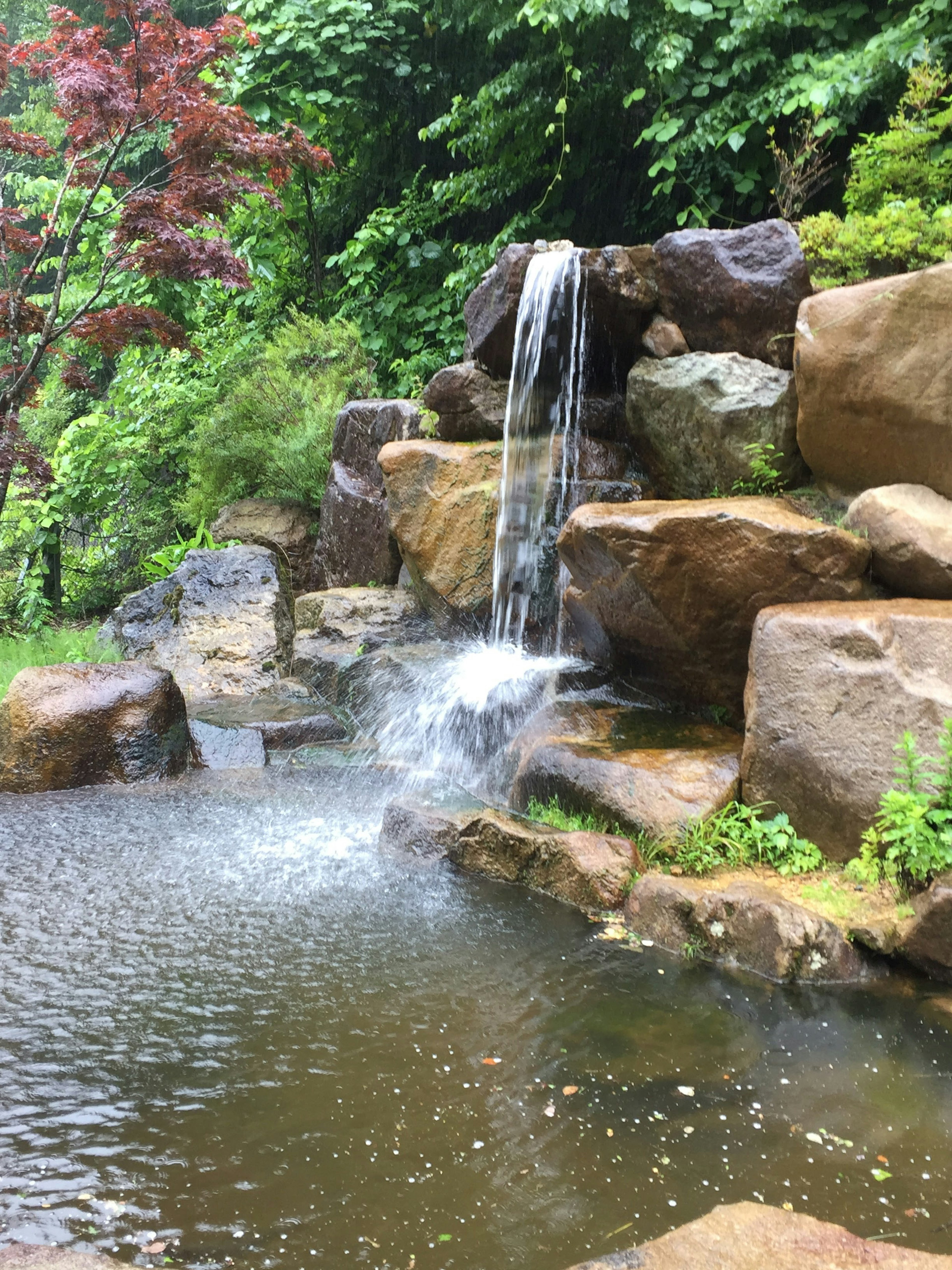 宁静池塘的风景，瀑布和岩石