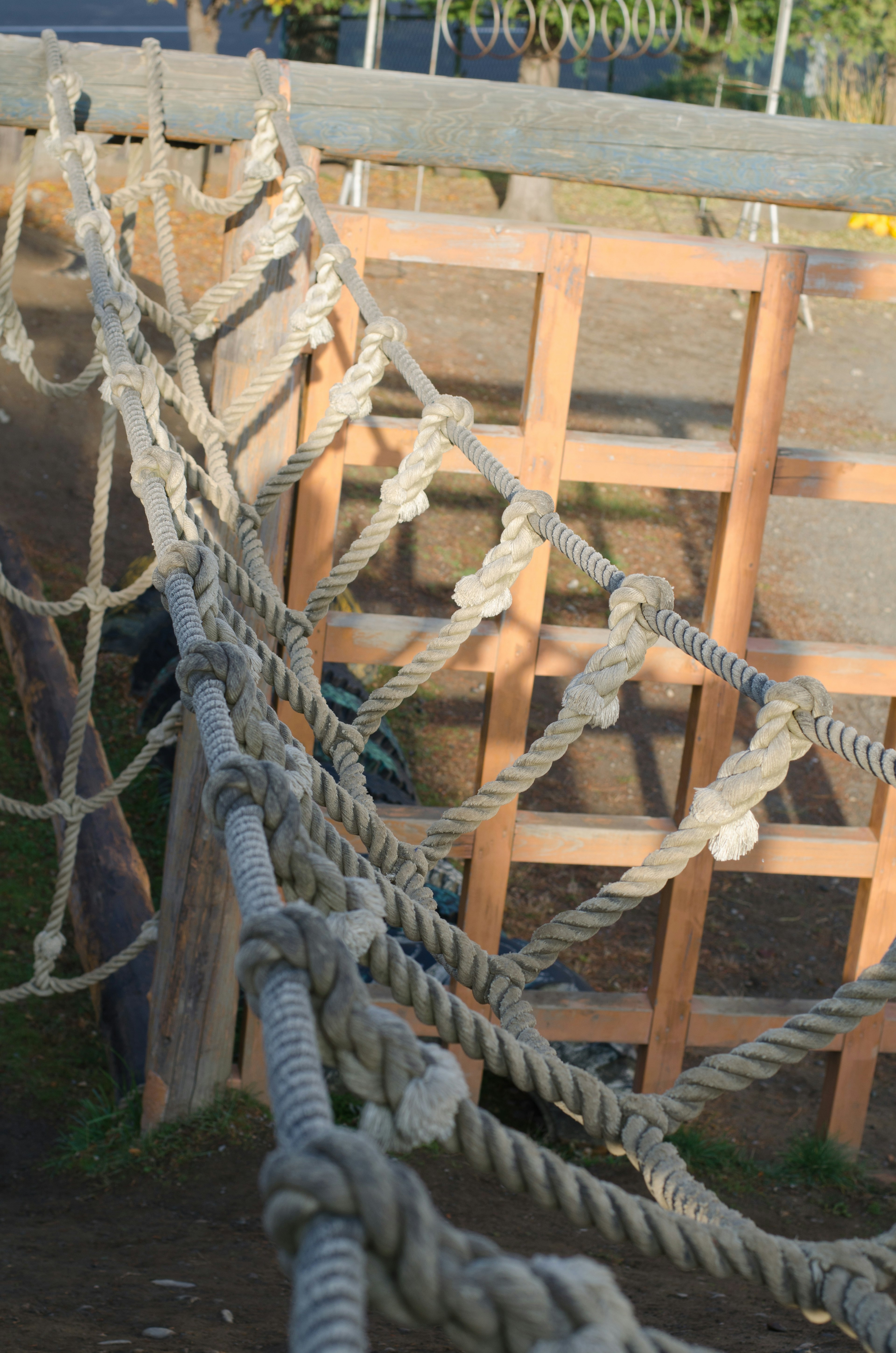 Immagine di una struttura di ponte in corda con nodi e supporto in legno