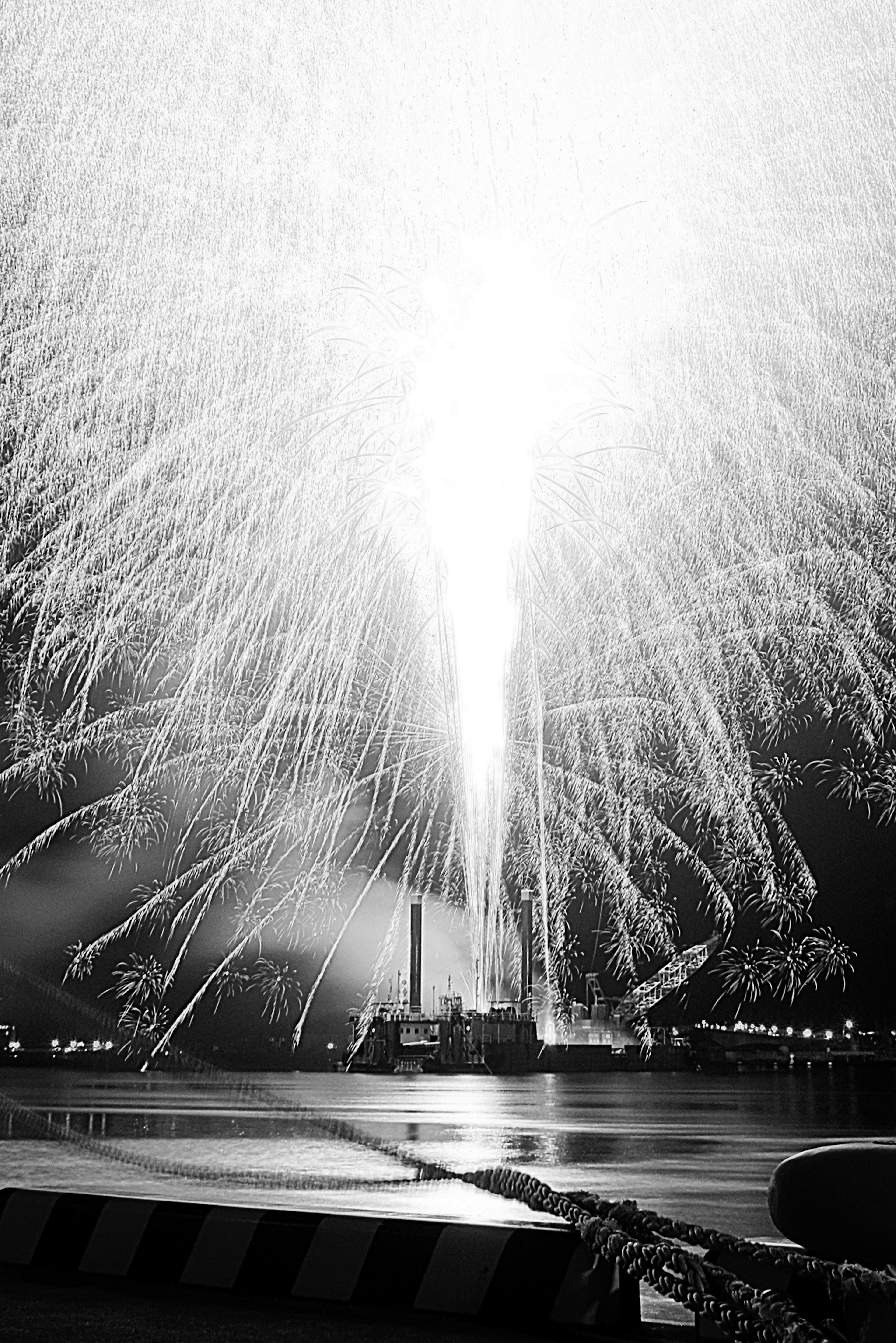 Stupendi fuochi d'artificio in bianco e nero che illuminano il cielo notturno