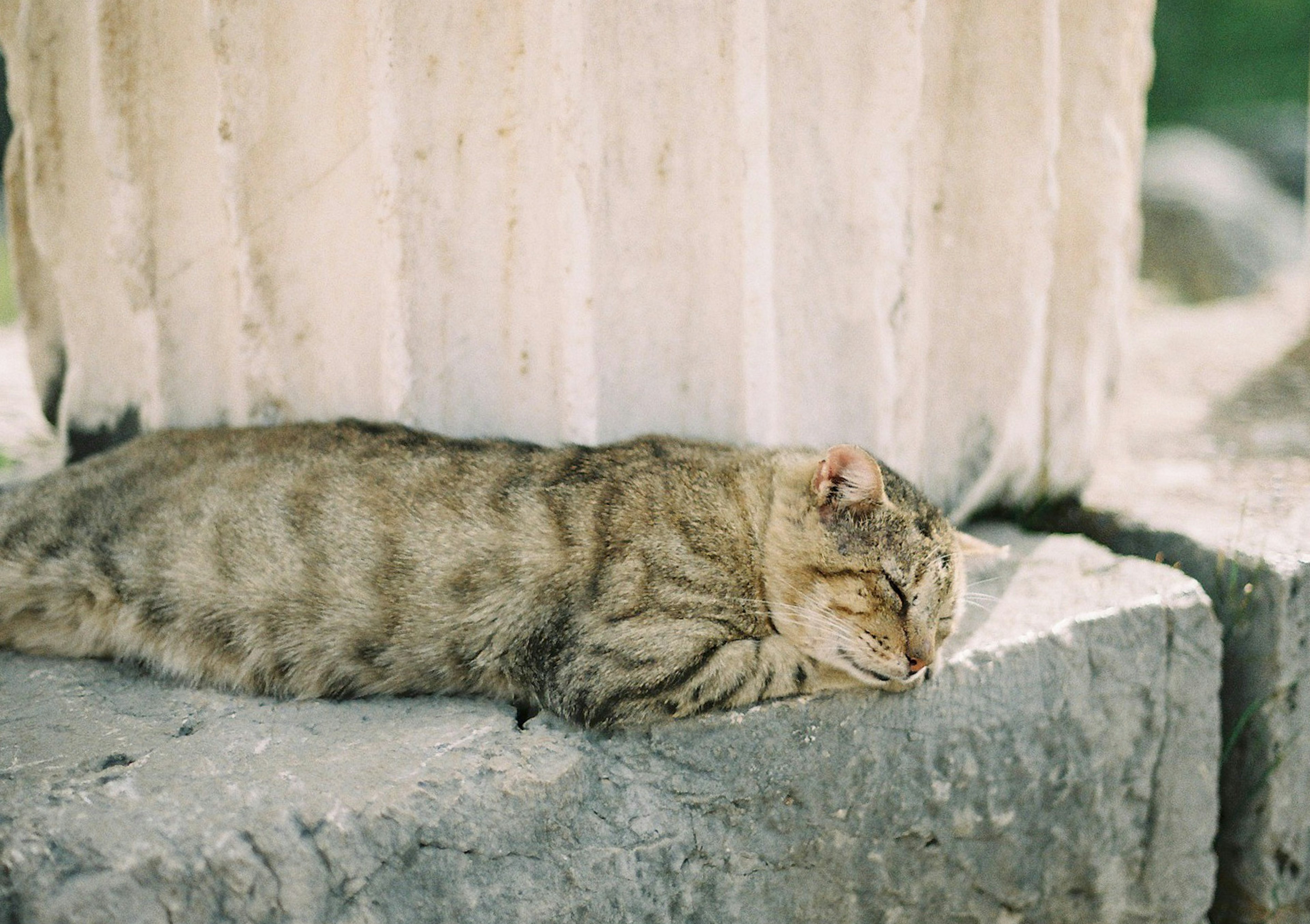 Un chat rayé dormant sur une surface en pierre