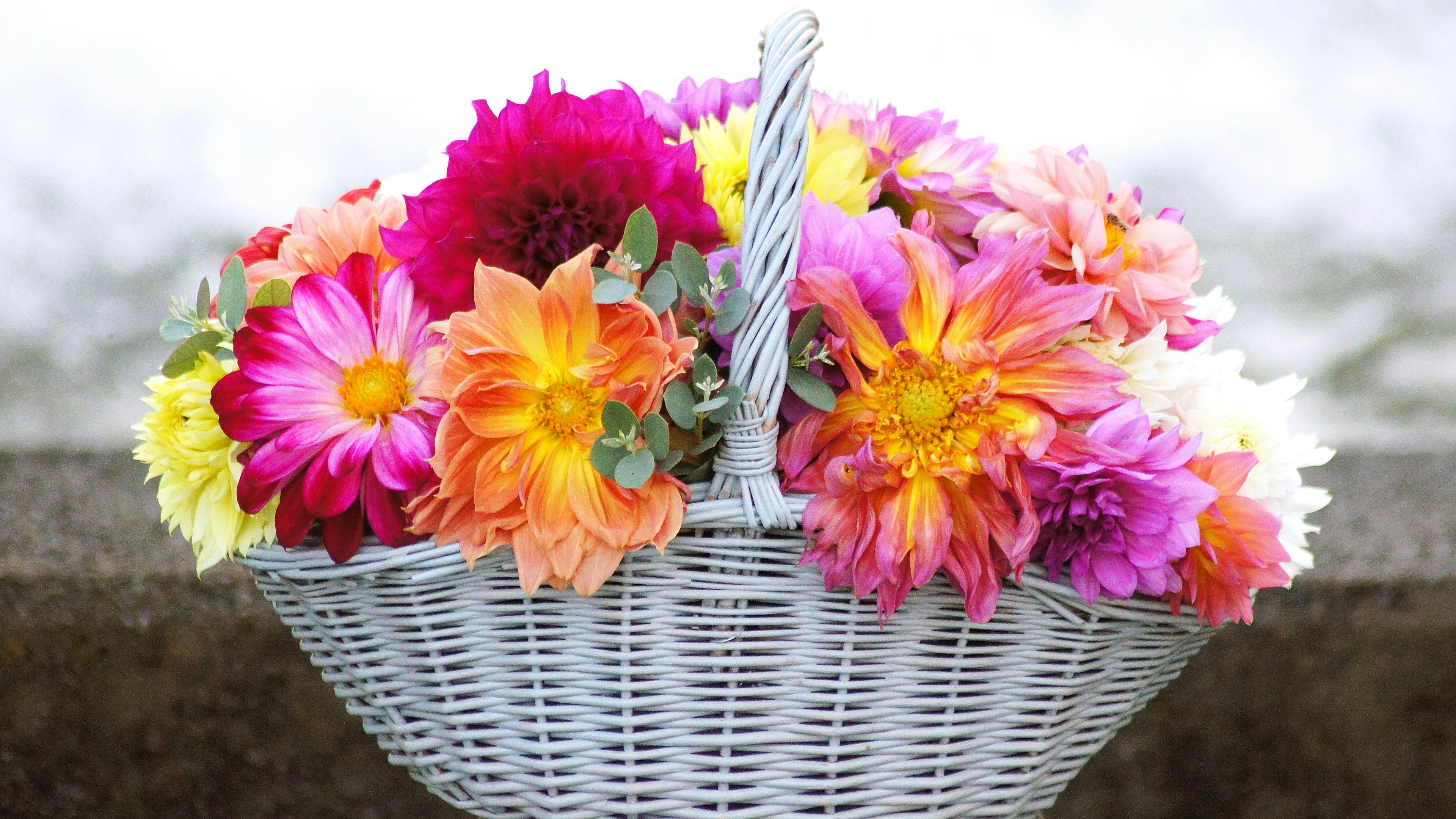 A white basket filled with a vibrant assortment of flowers