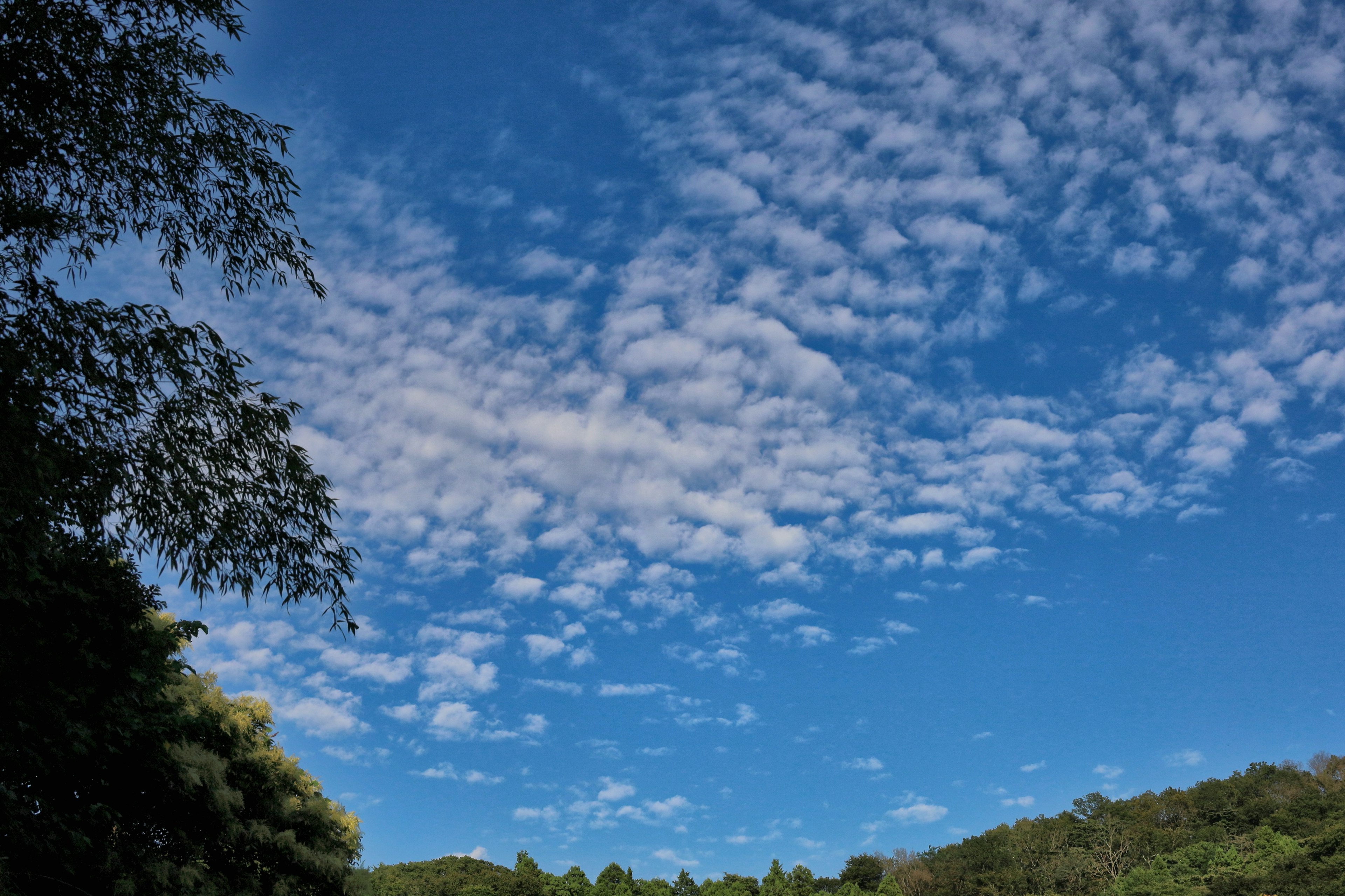 Landschaft mit blauem Himmel und weißen Wolken