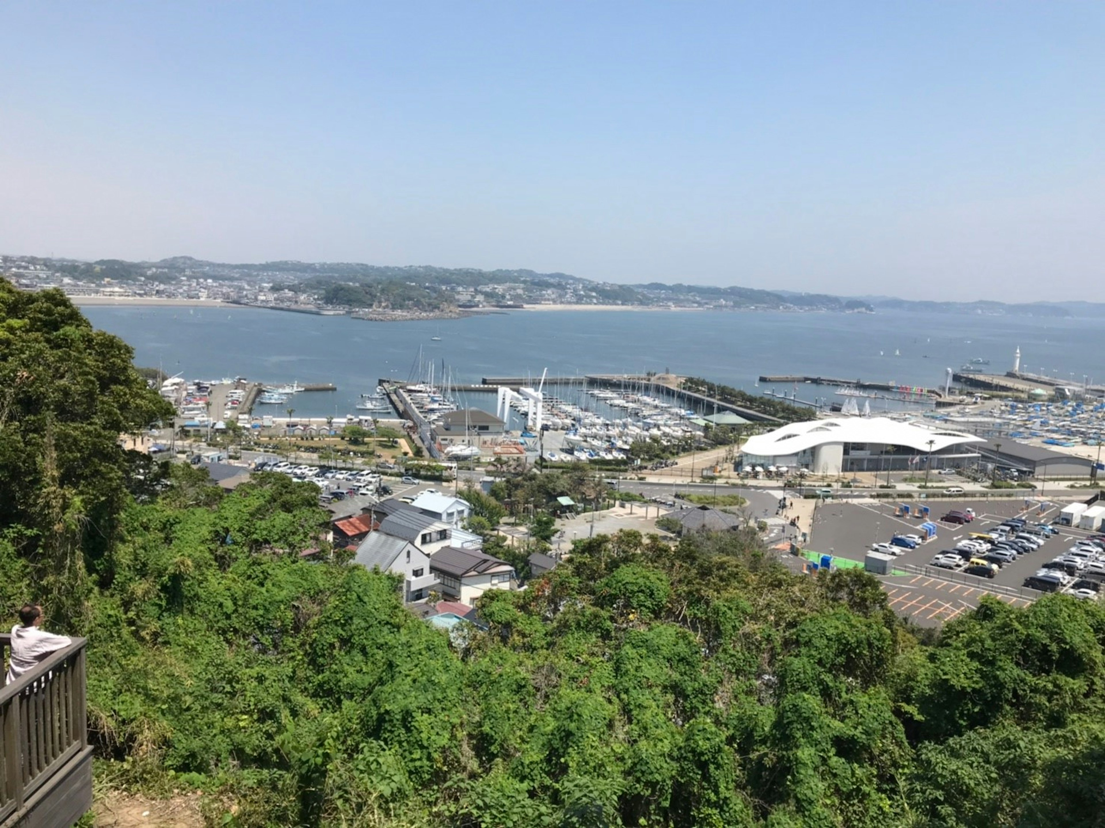 綠意盎然的山丘俯瞰海洋和港口的景色