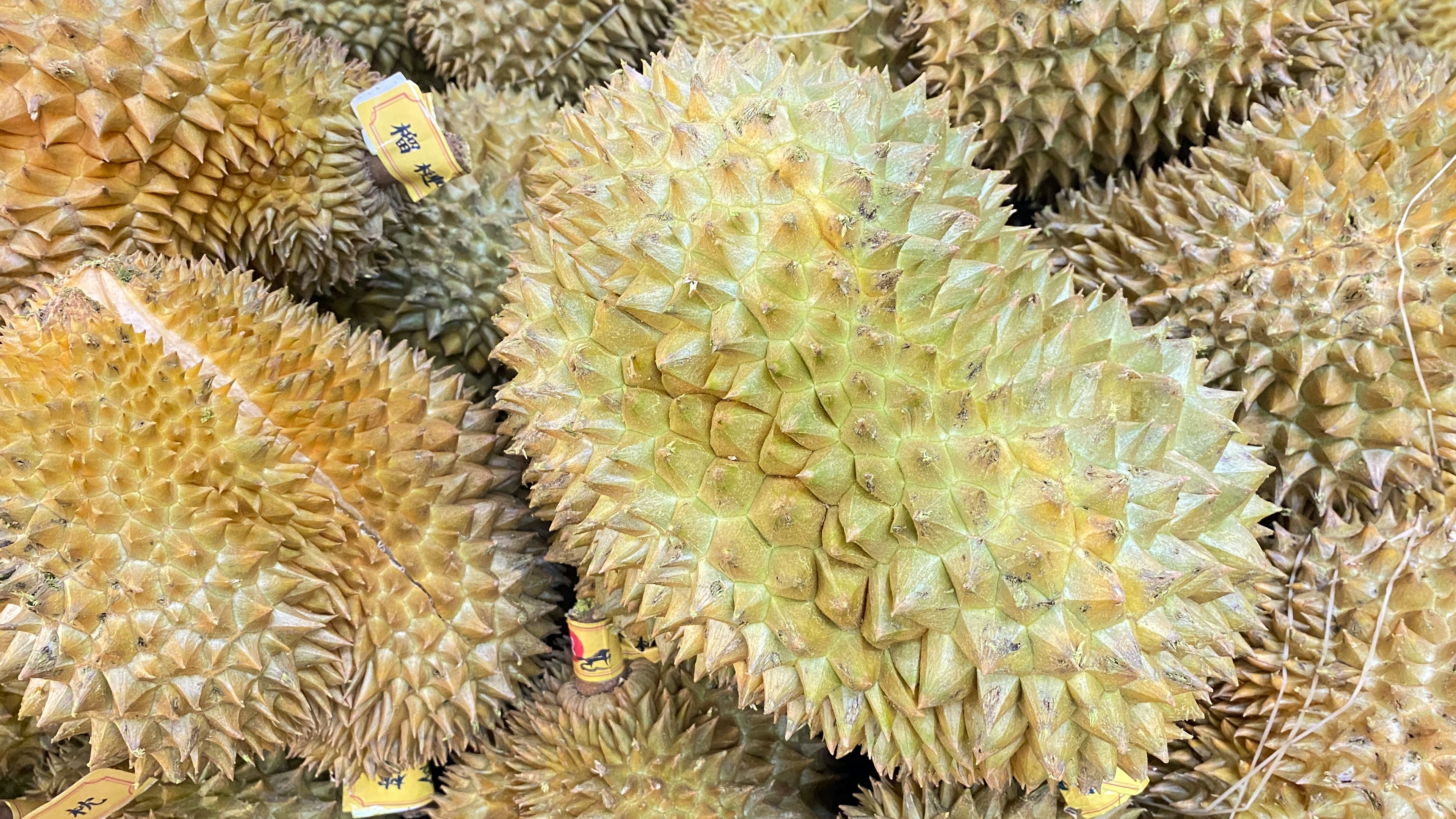 A cluster of durians with spiky skin