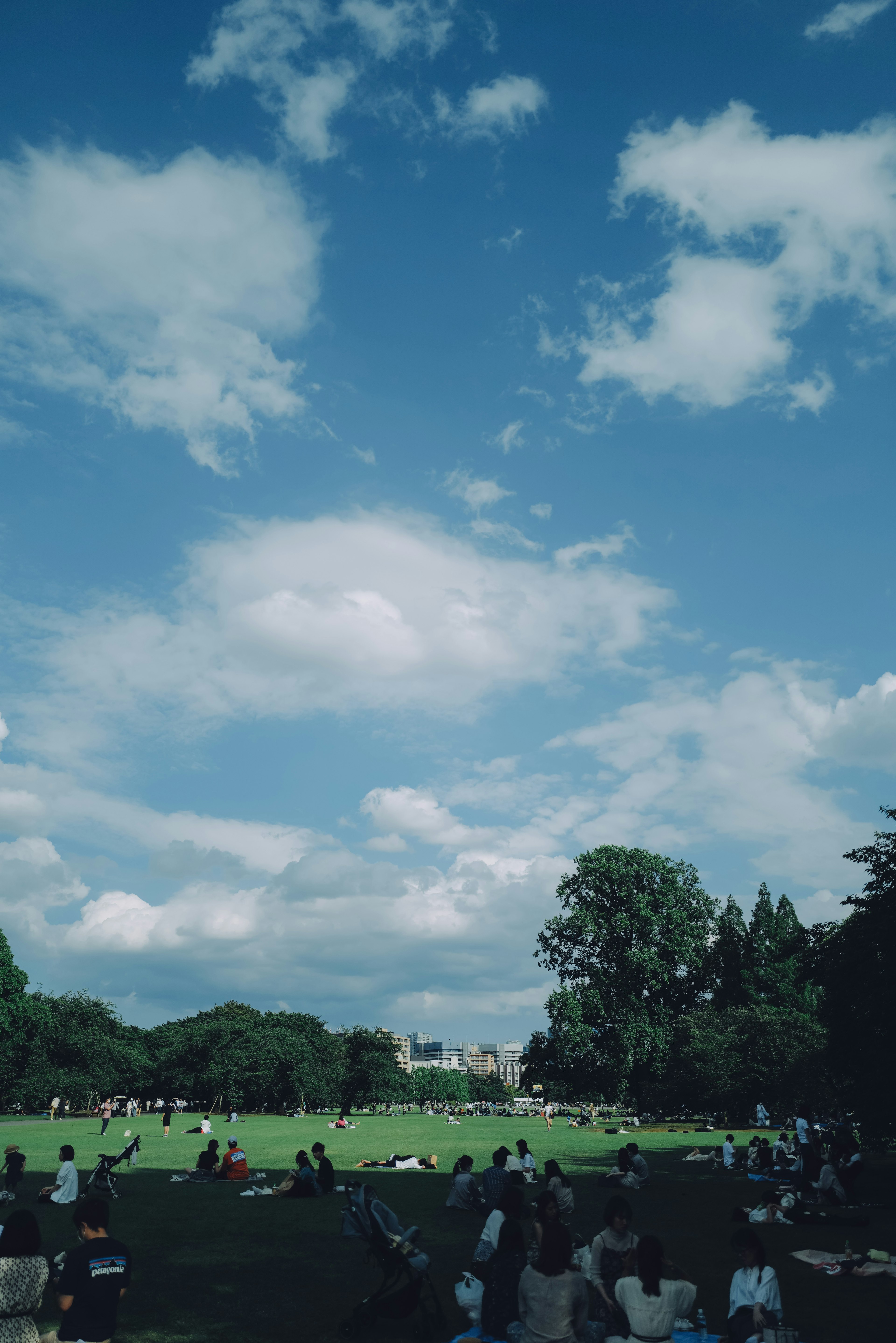 青空と雲が広がる公園で人々がリラックスしている風景