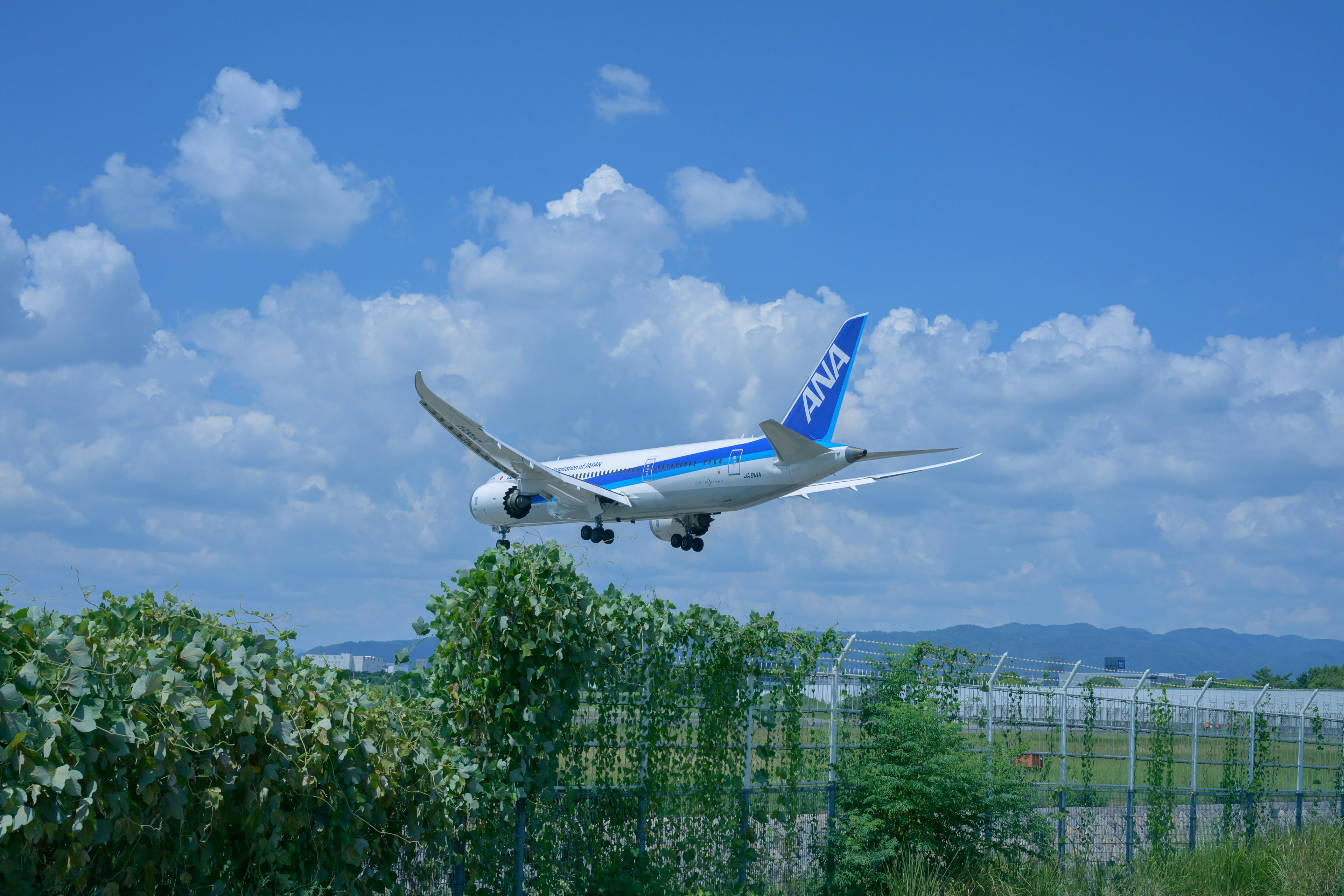 Ein Flugzeug landet unter einem blauen Himmel mit weißen Wolken und grüner Vegetation im Vordergrund