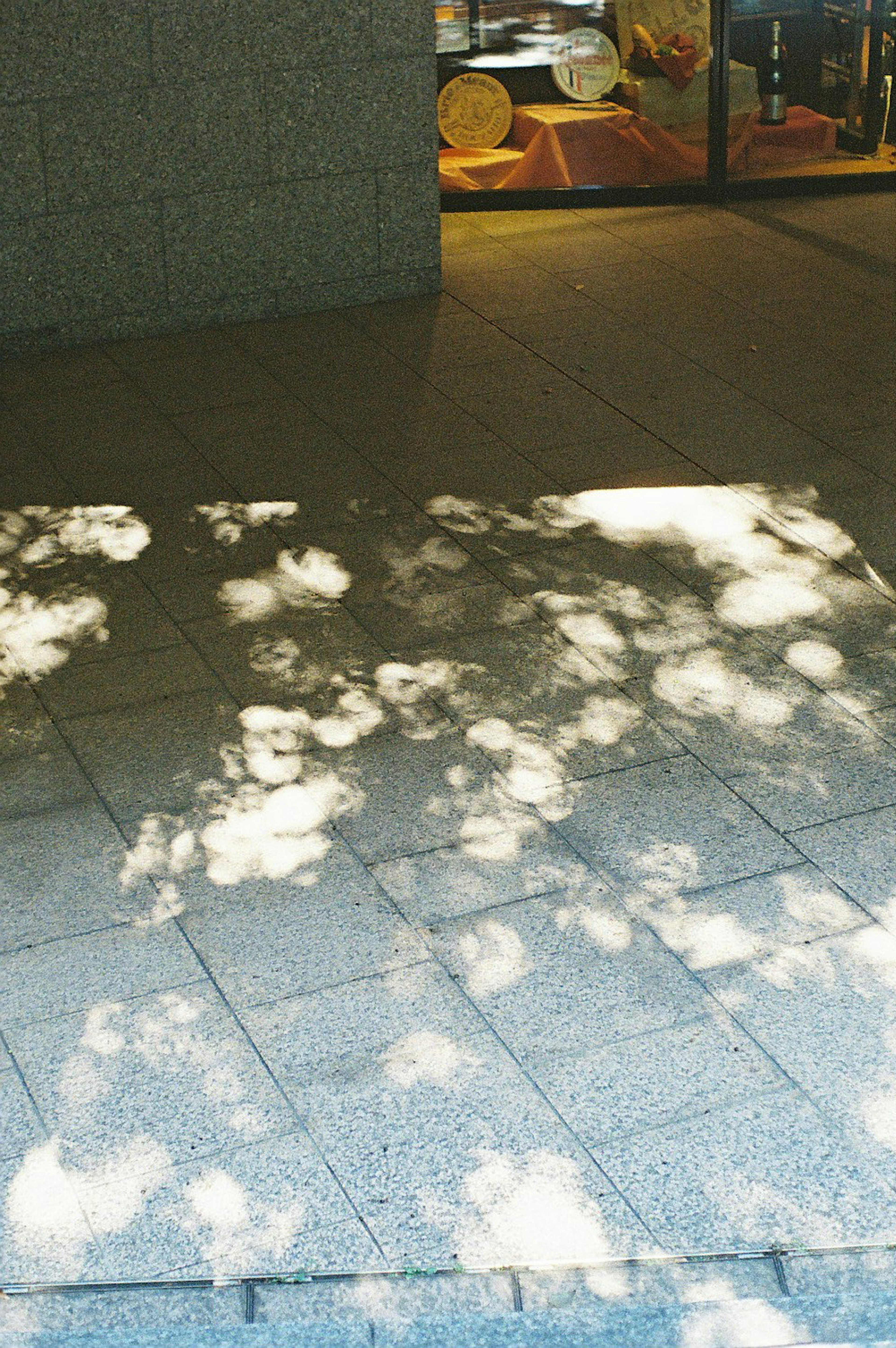 Paved floor with light shadows and glass window in the background