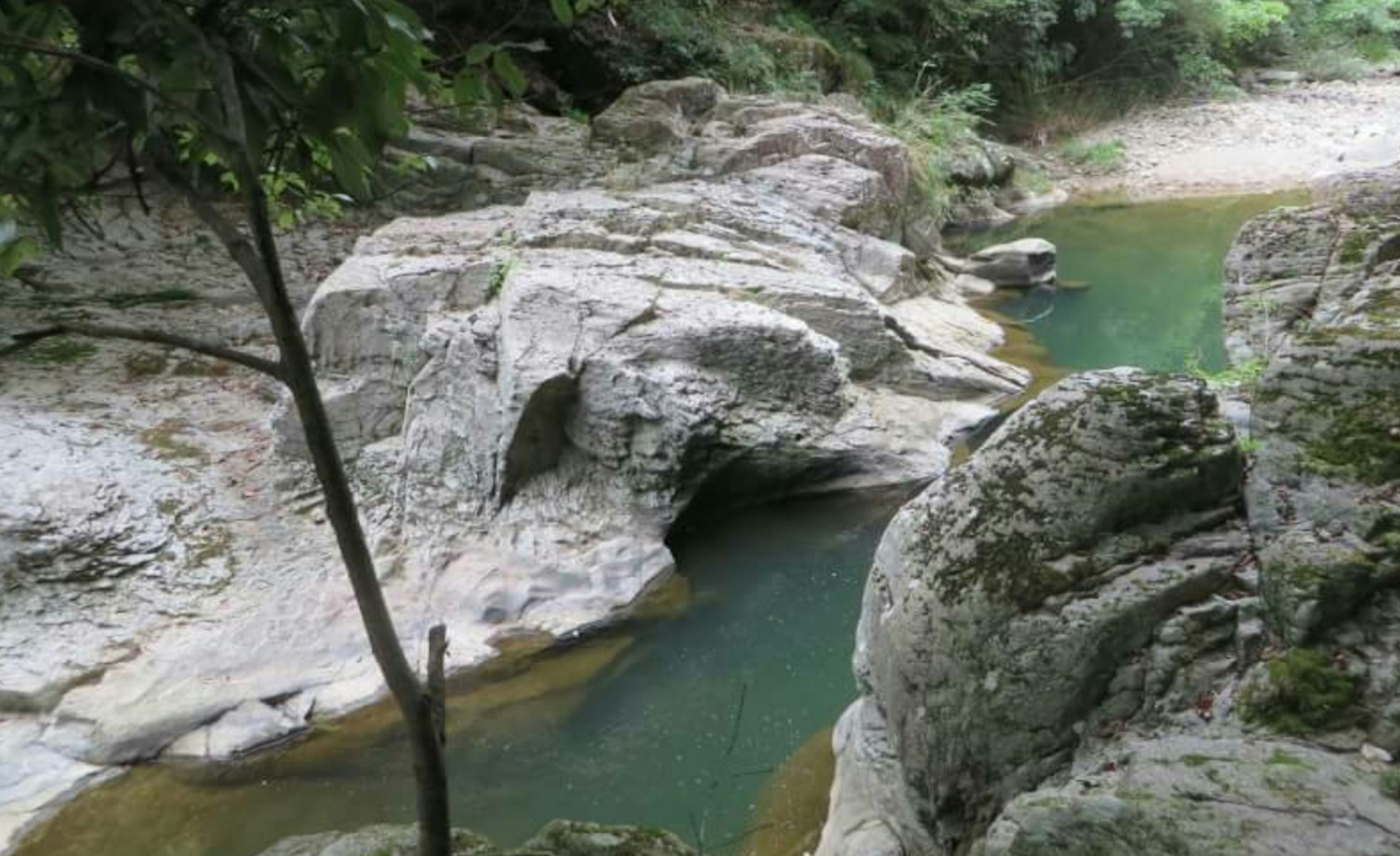 Pemandangan indah sungai yang mengalir di antara batu besar dikelilingi oleh pepohonan