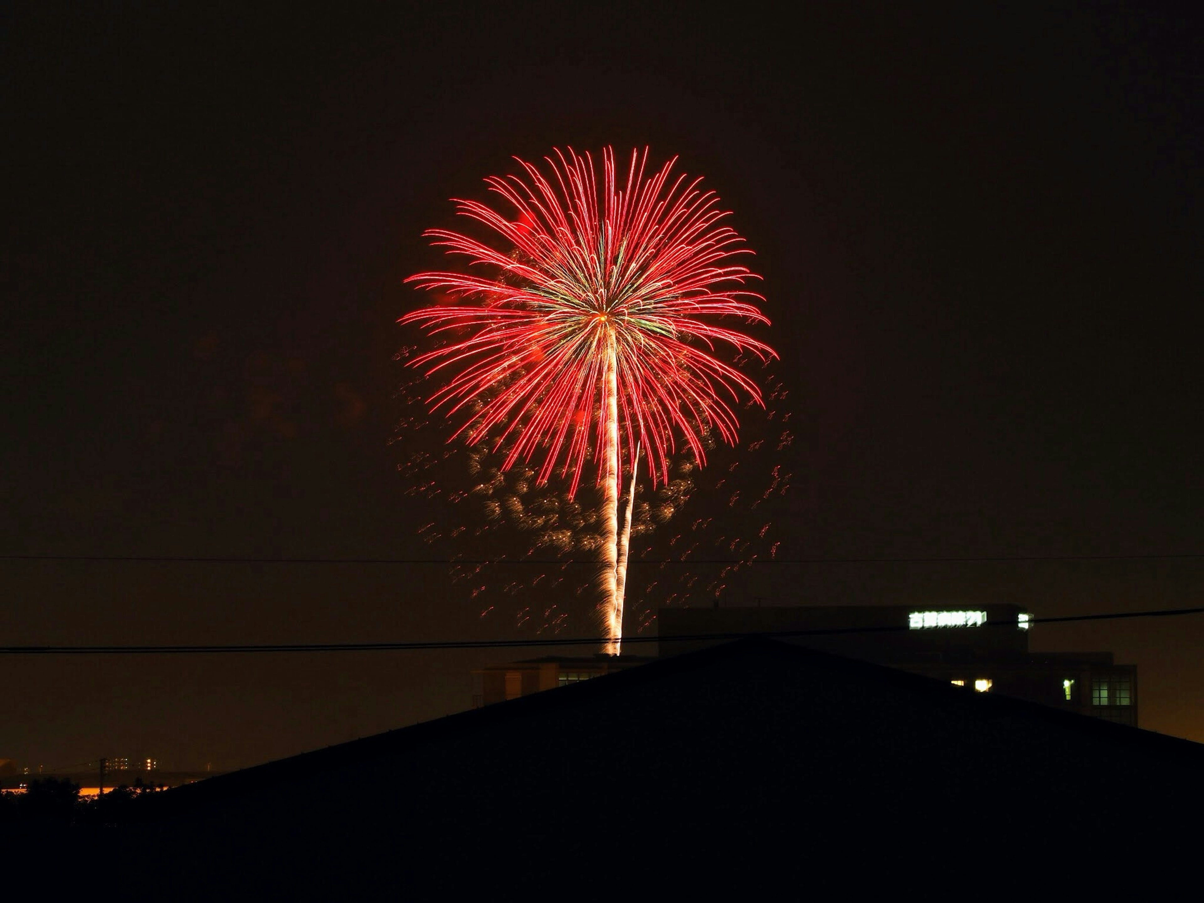 A vibrant red firework bursts in the night sky