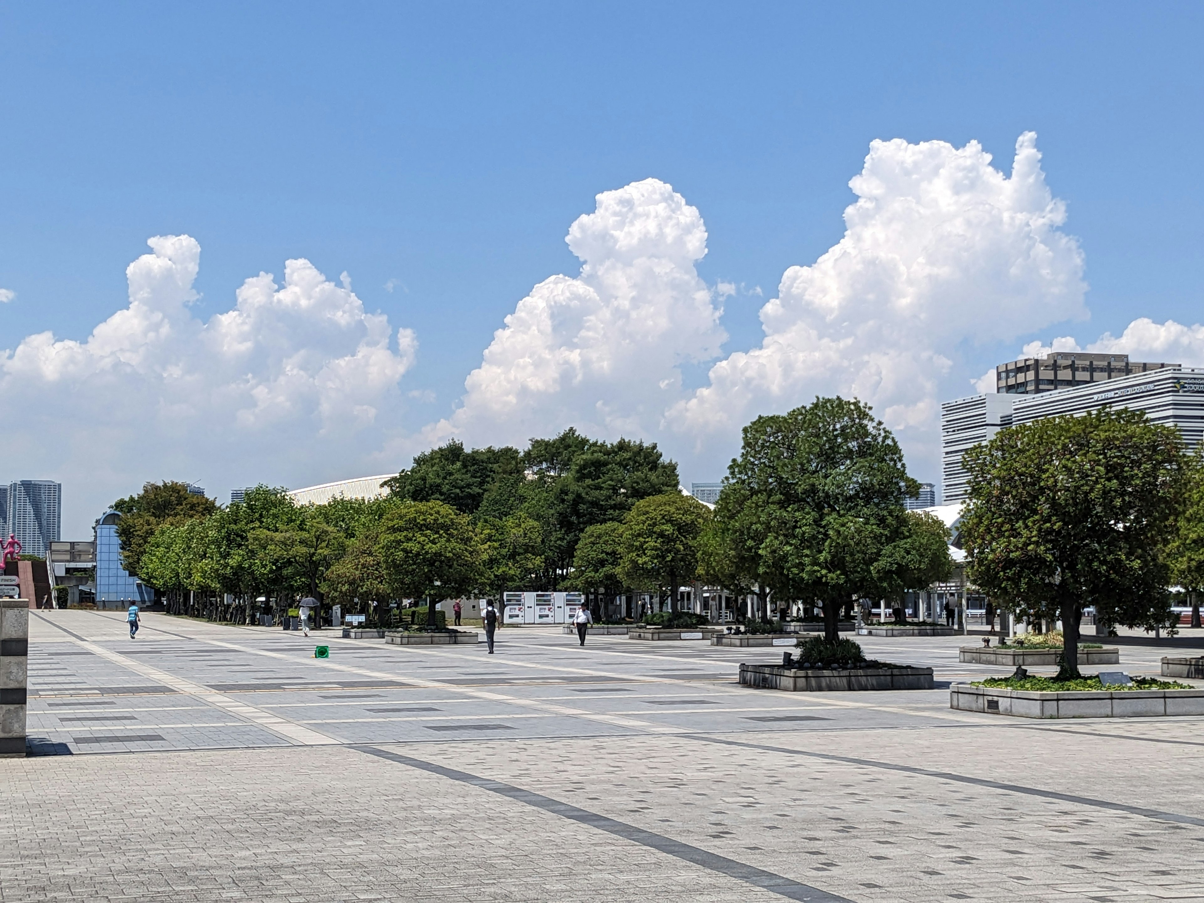 広い空と白い雲が見える公園の風景 緑の木々と整然としたタイルの道