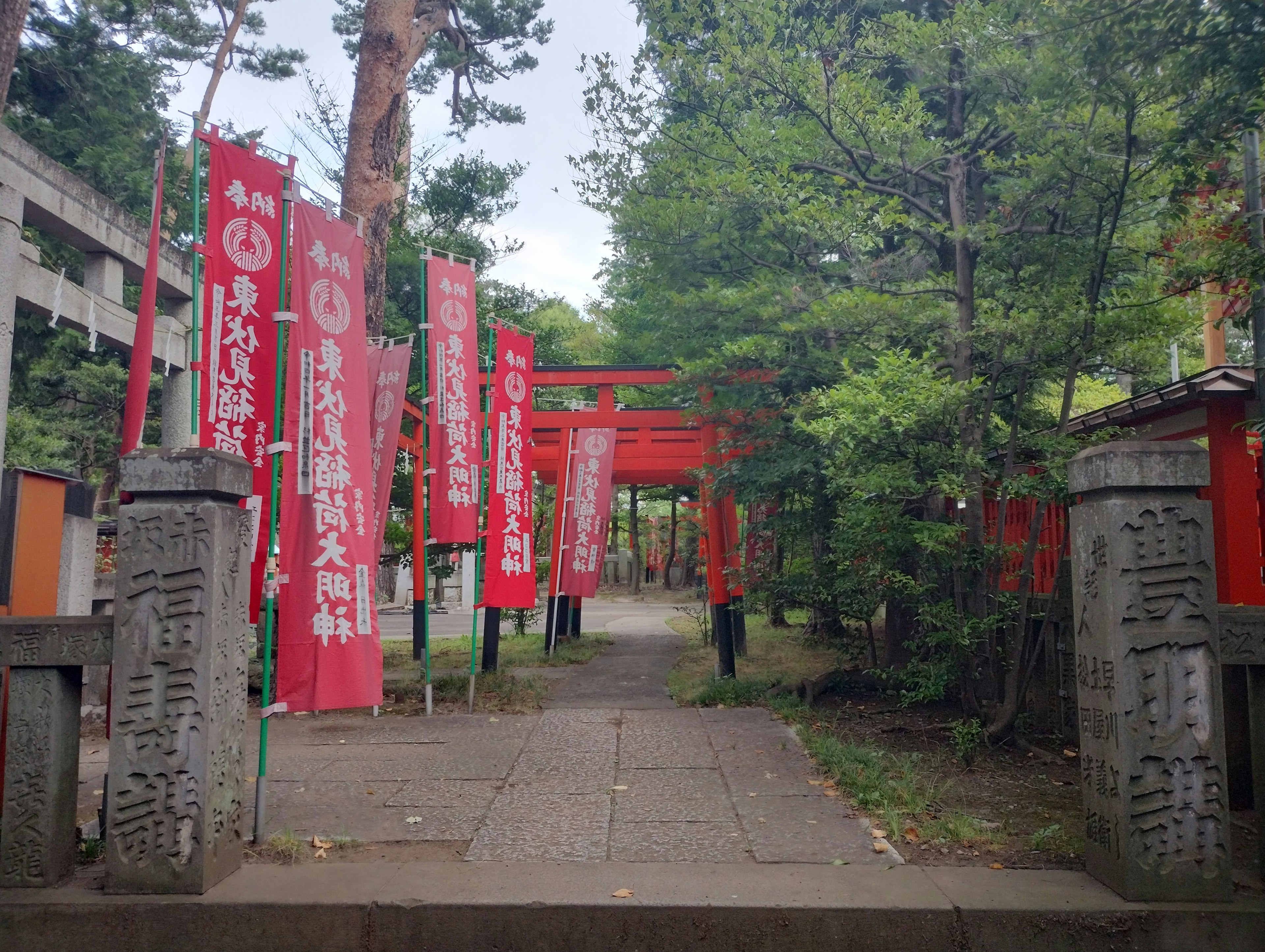 Sendero hacia un santuario flanqueado por banderas rojas y torii