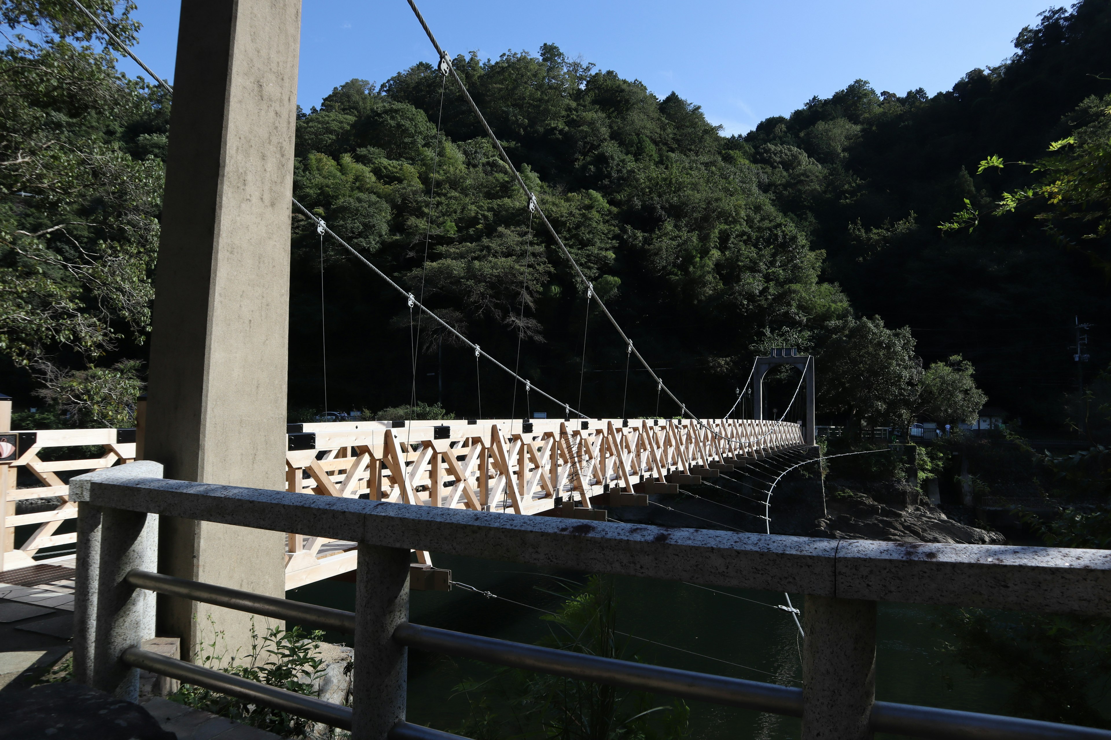 Puente colgante rodeado de árboles verdes exuberantes