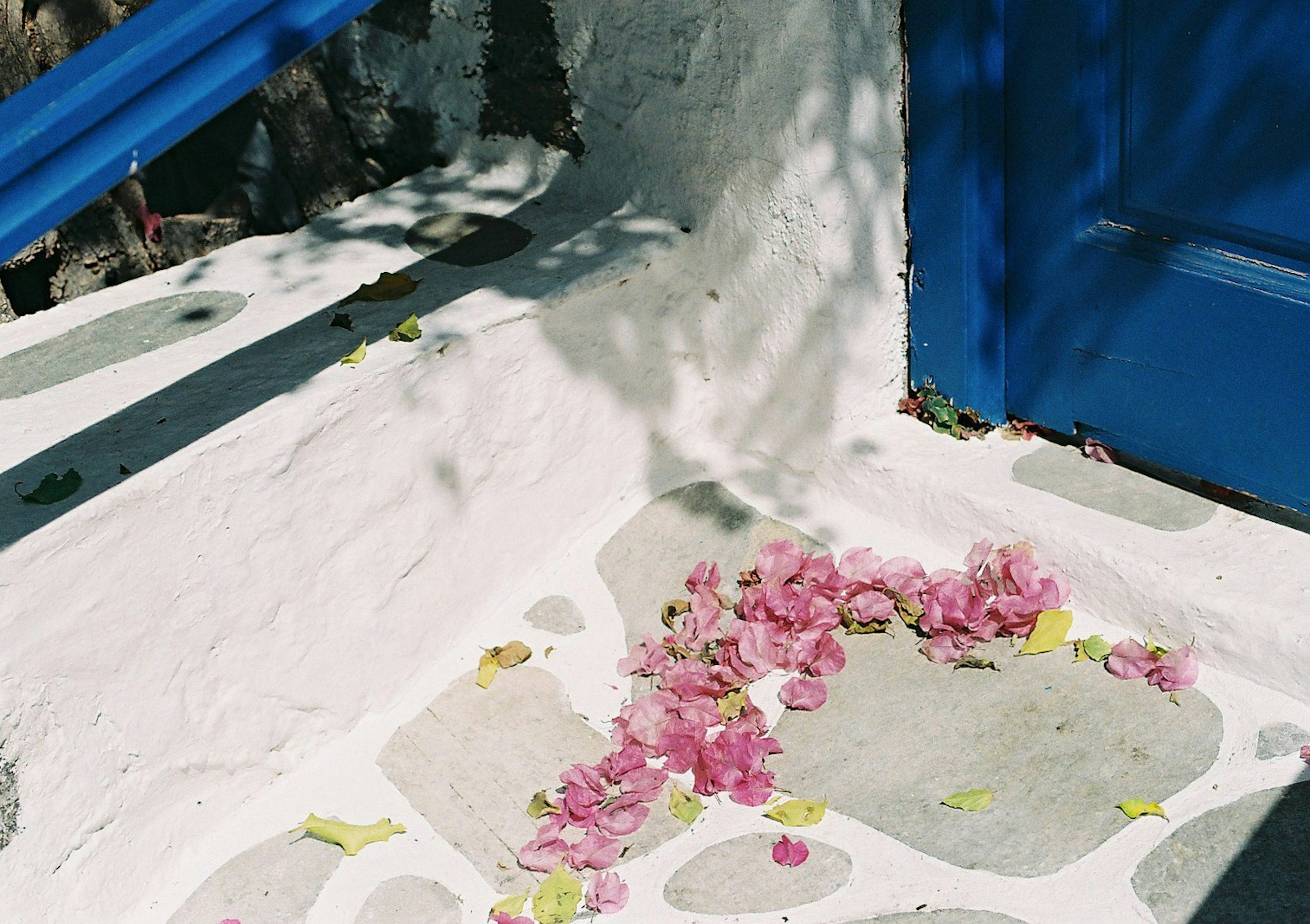 Petali di fiori rosa e foglie sparse su un pavimento in pietra bianca davanti a una porta blu