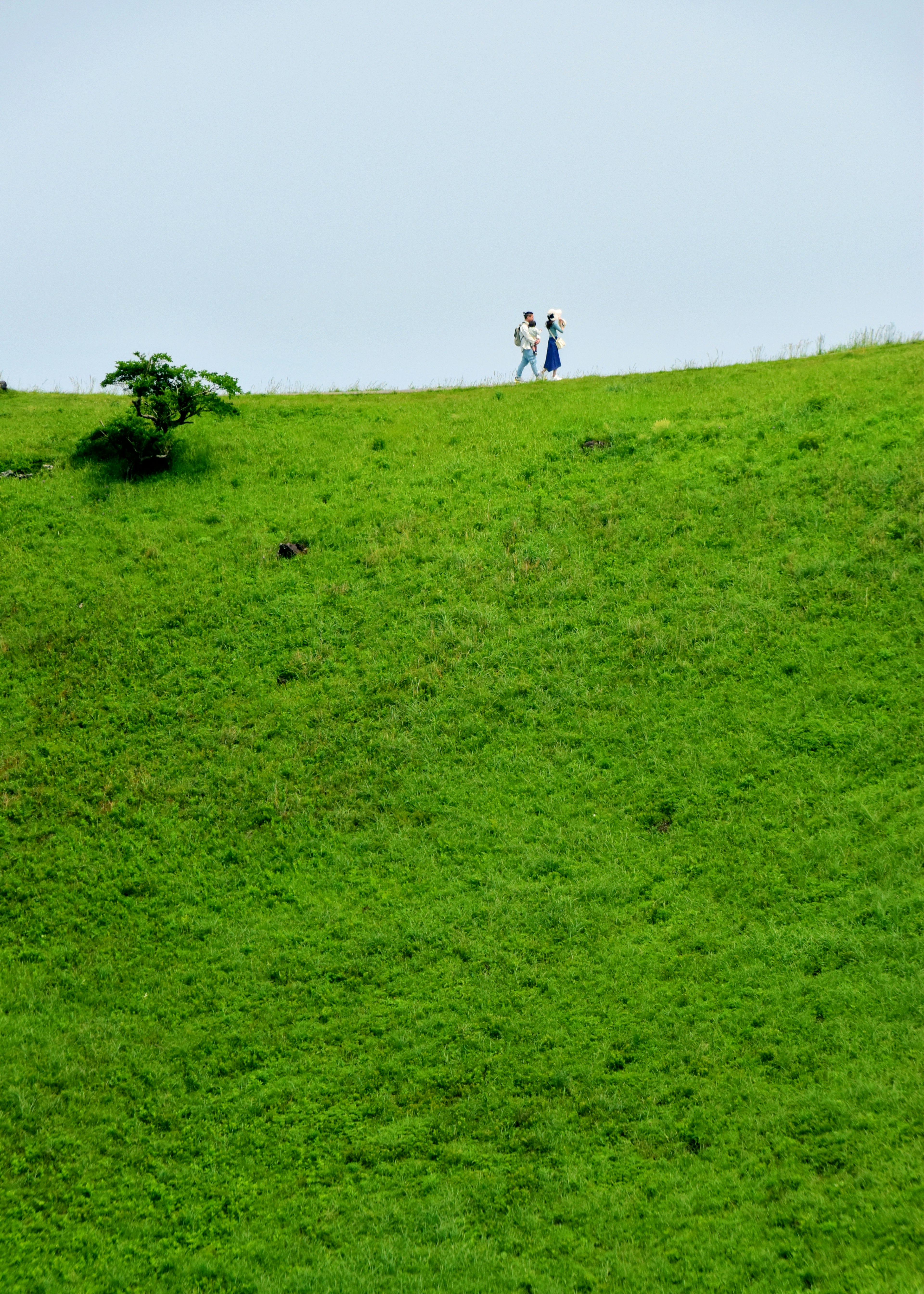 Silhouette d'un couple sur une colline verte