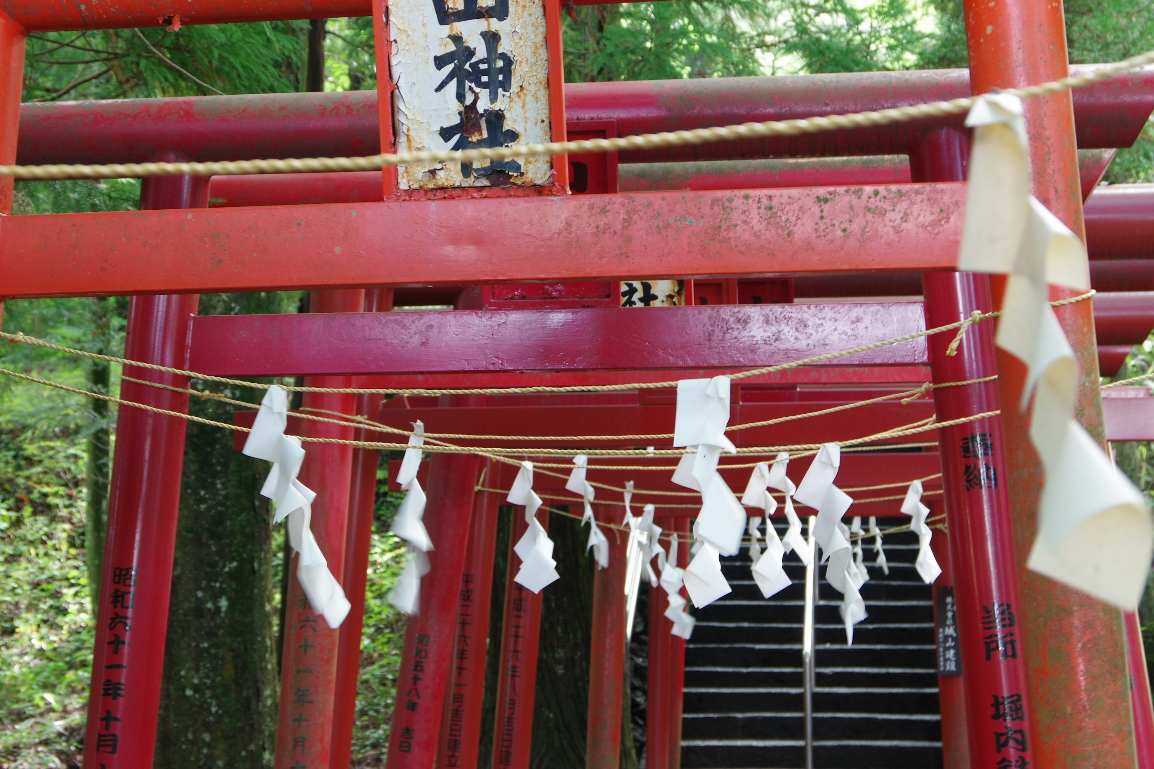 赤い鳥居と白いおみくじが飾られた神社の入り口