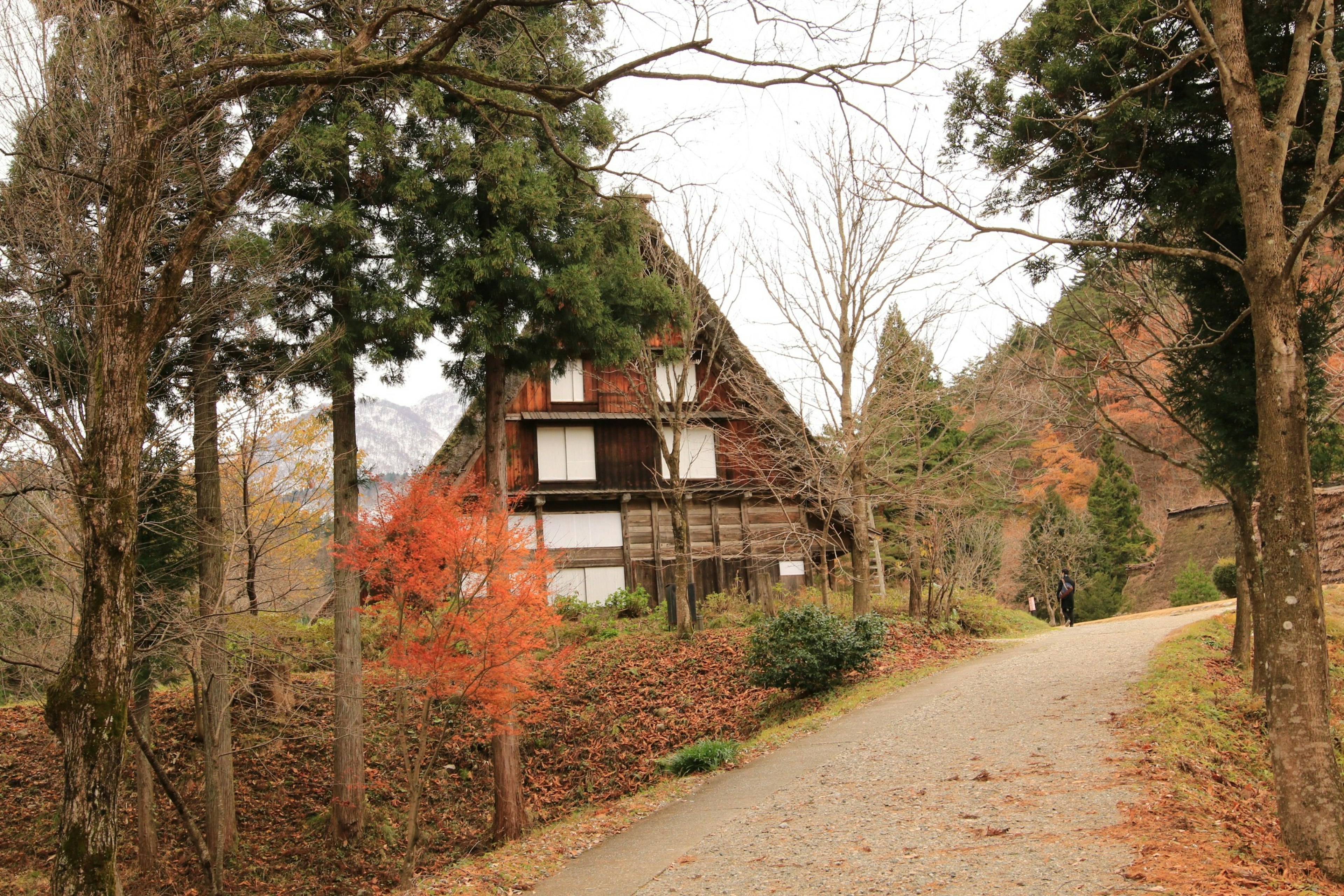 Traditional Japanese gassho-zukuri house in an autumn landscape