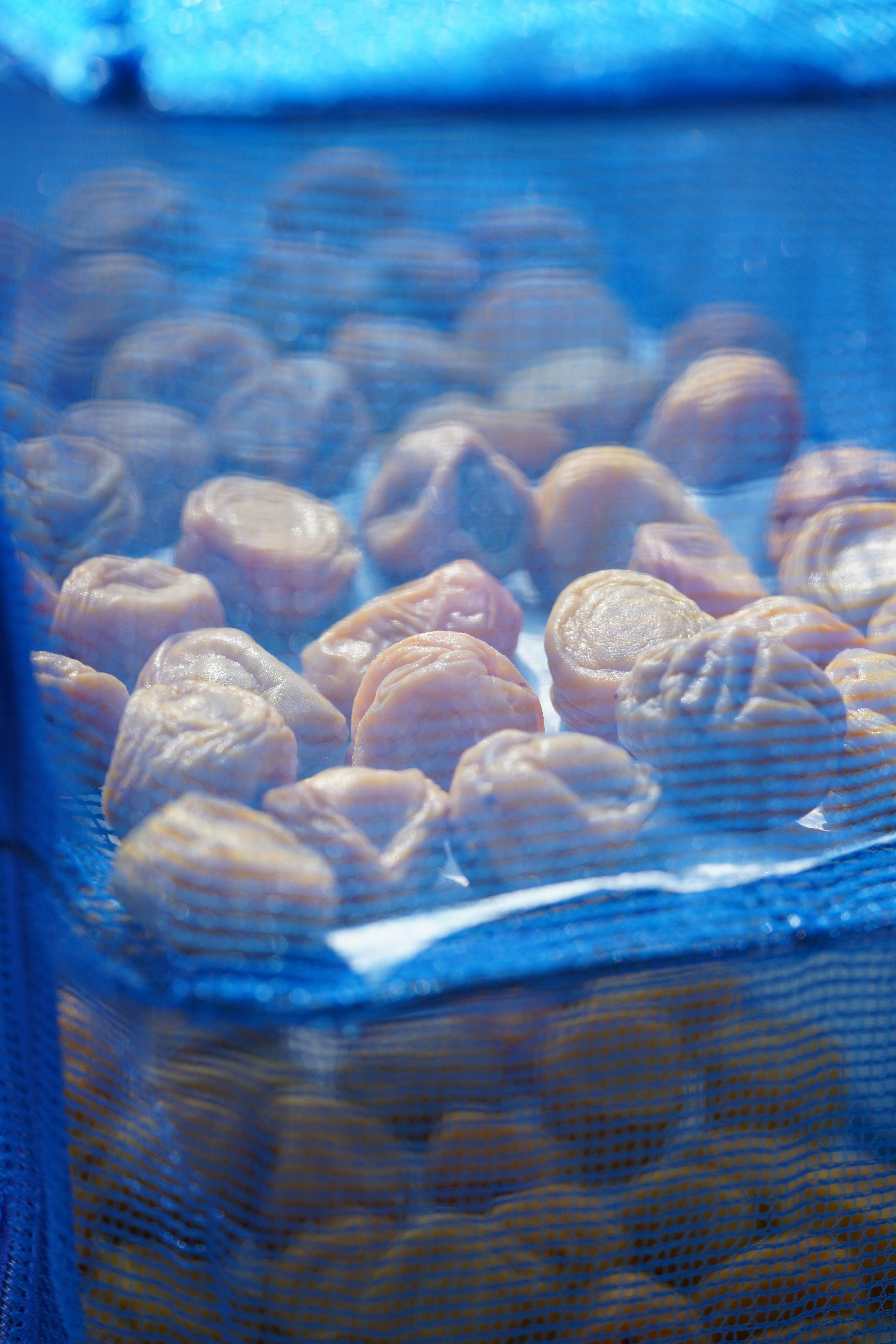 Dried nuts seen through a blue mesh netting