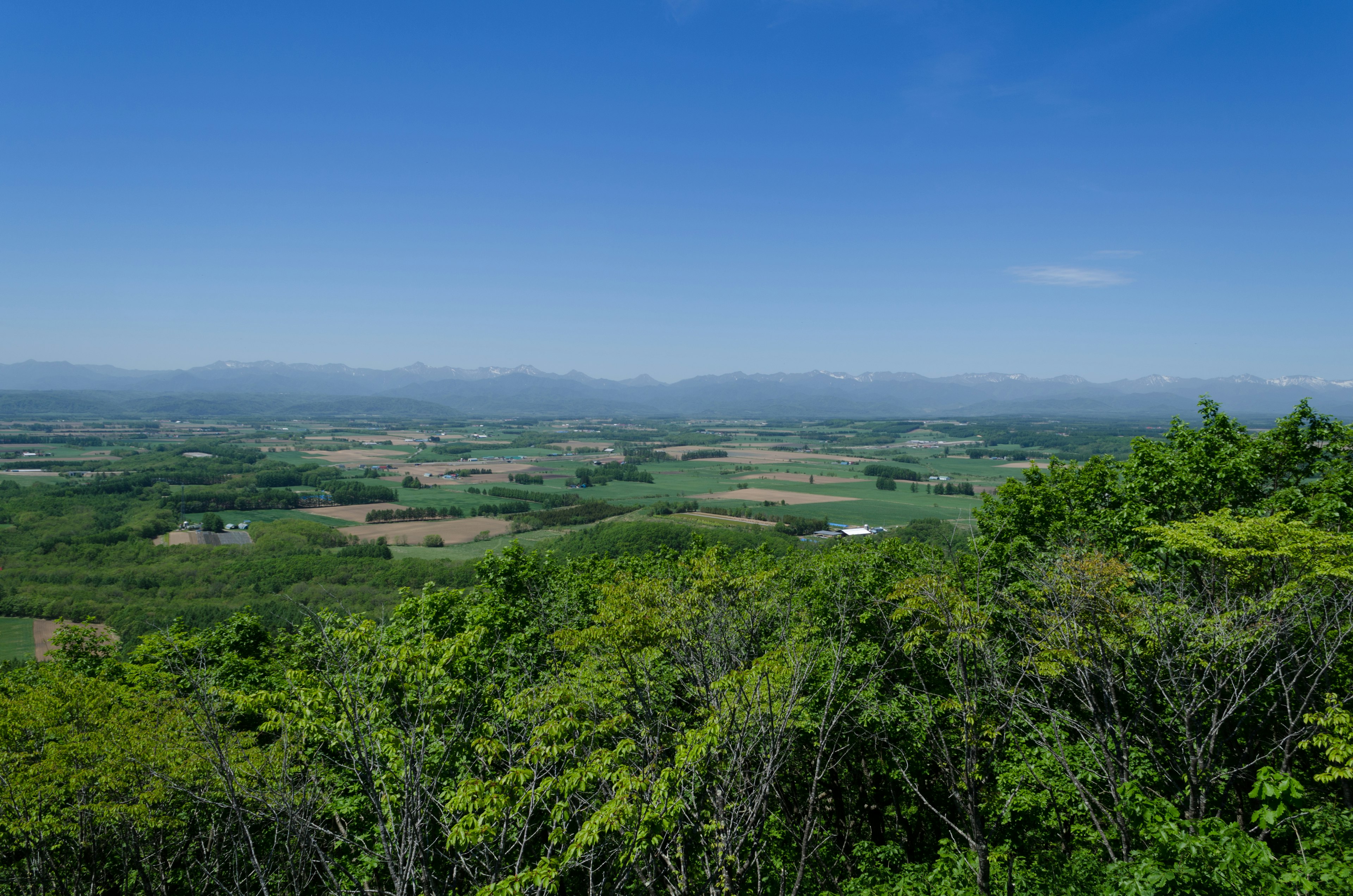 Valle verdeggiante con cielo azzurro