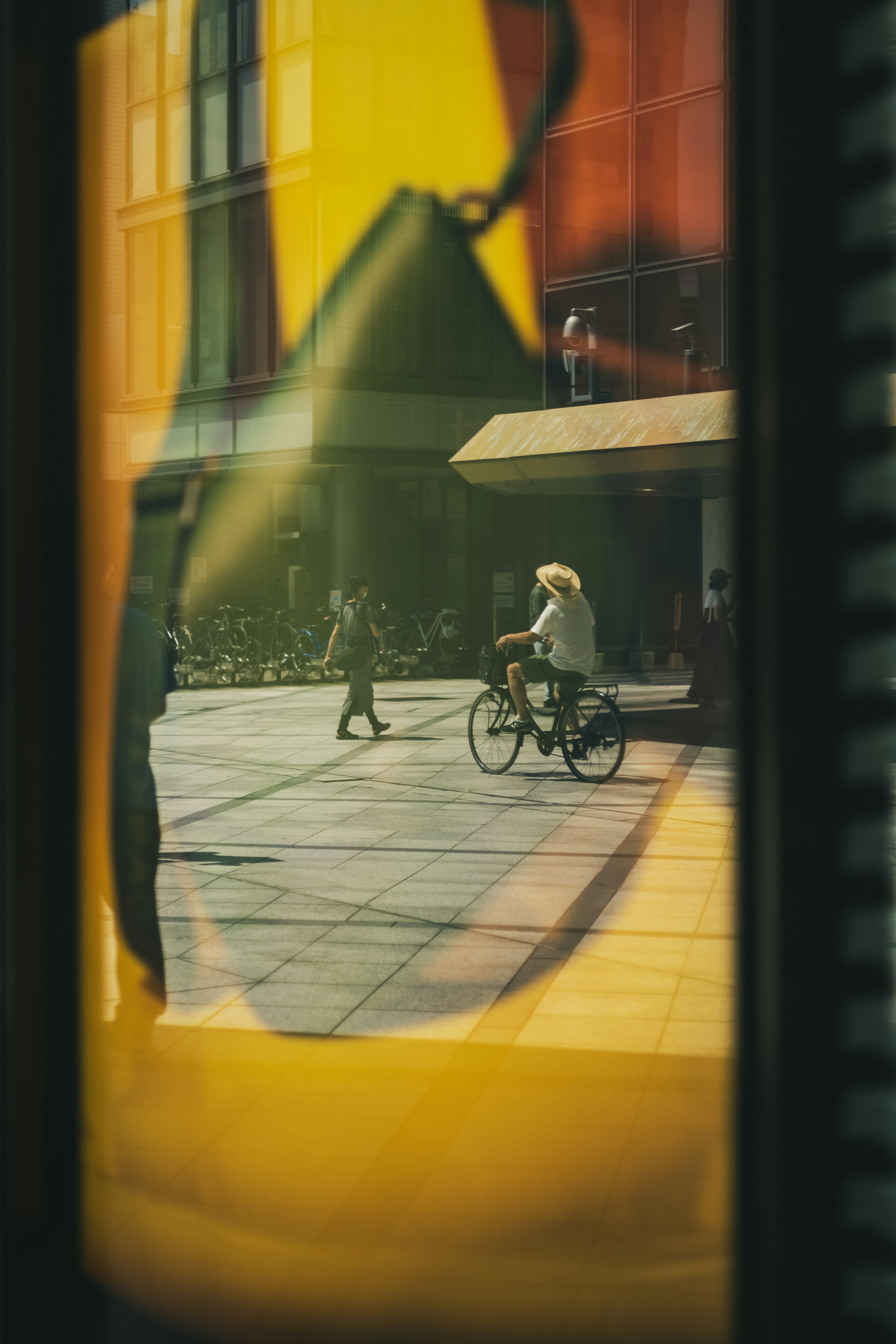 自転車に乗った人物が歩道を横切る様子を反射した窓越しに捉えた画像