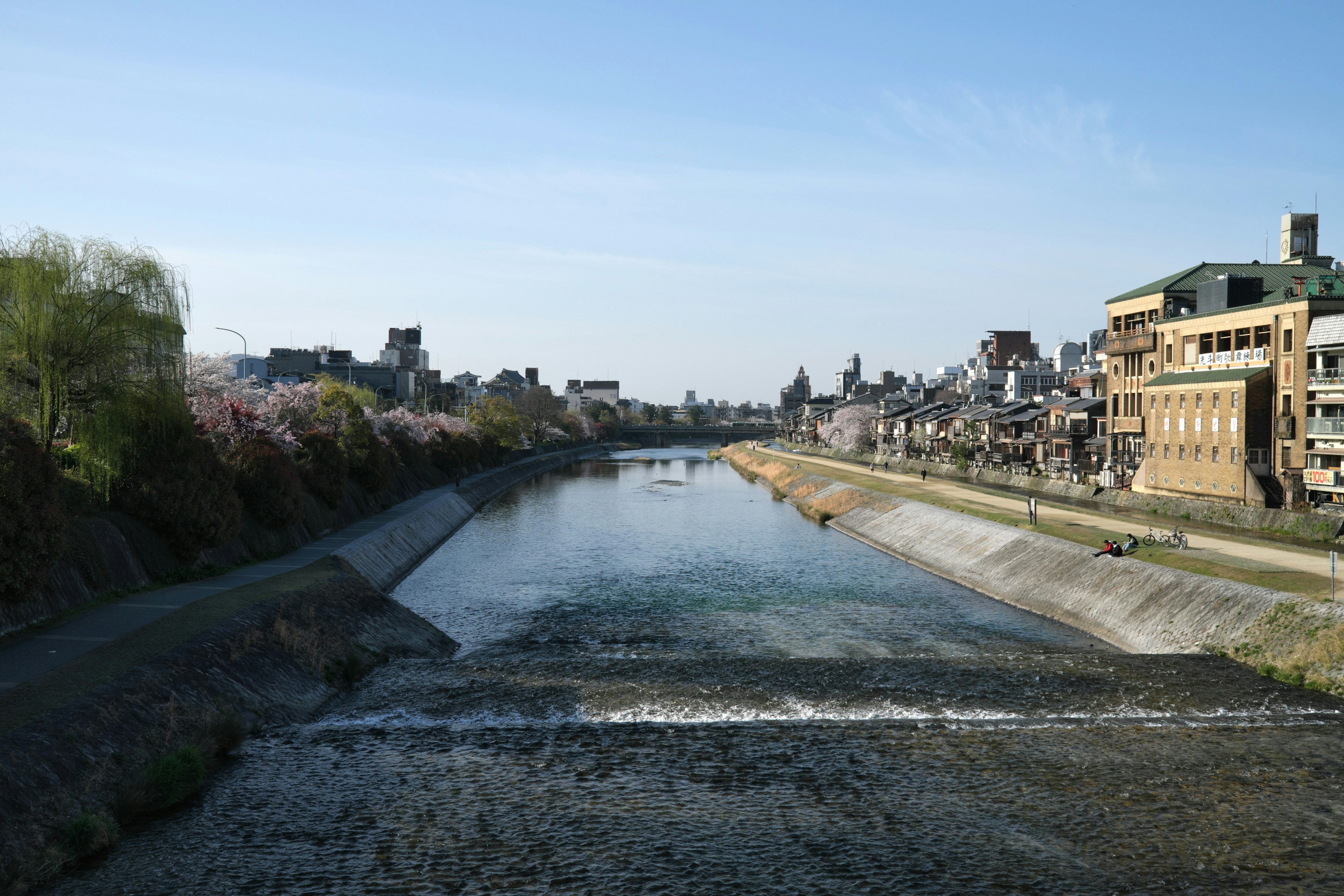 A tranquil river scene with cherry blossom trees