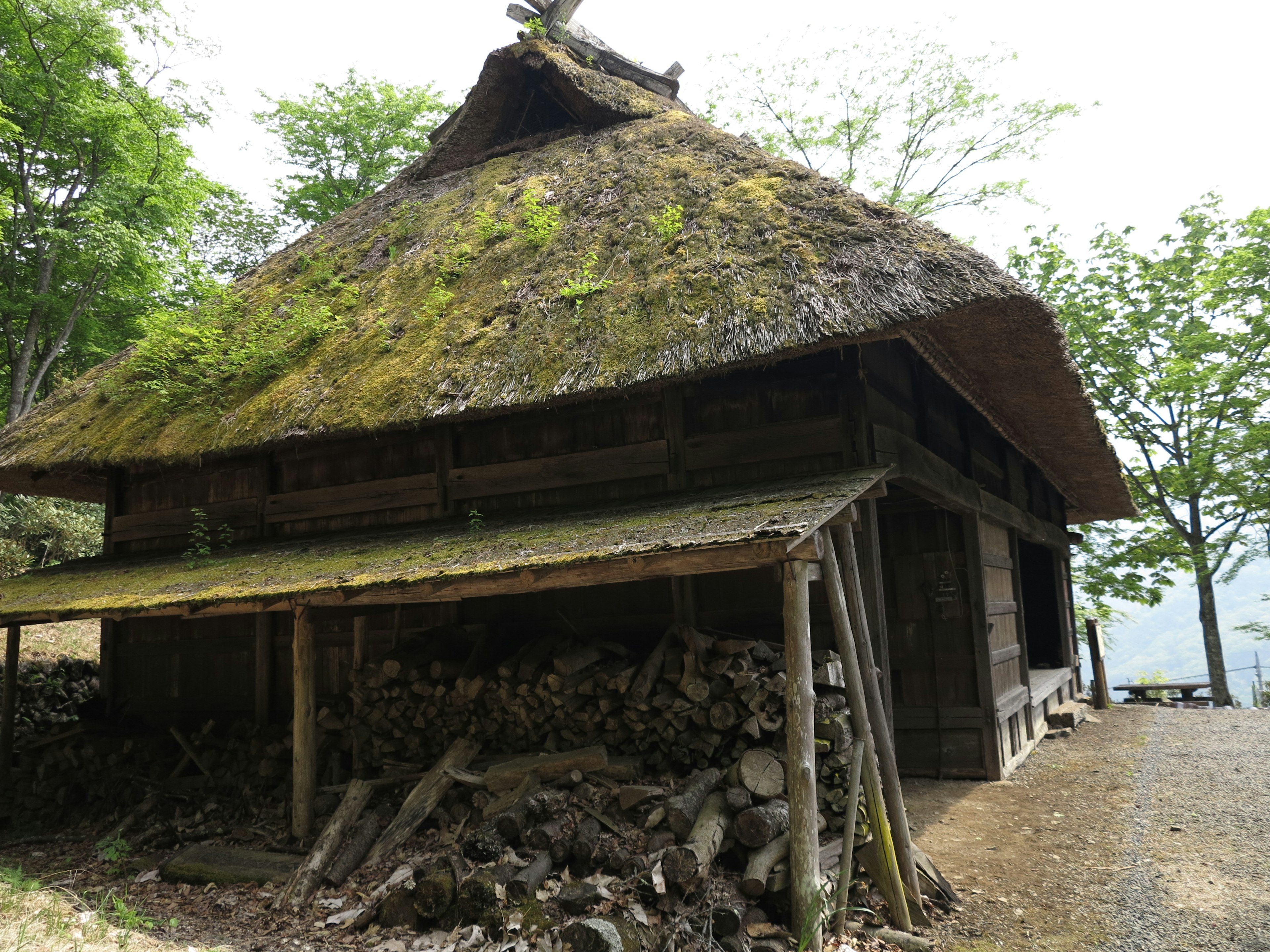 Traditional wooden house with thatched roof and stacked firewood