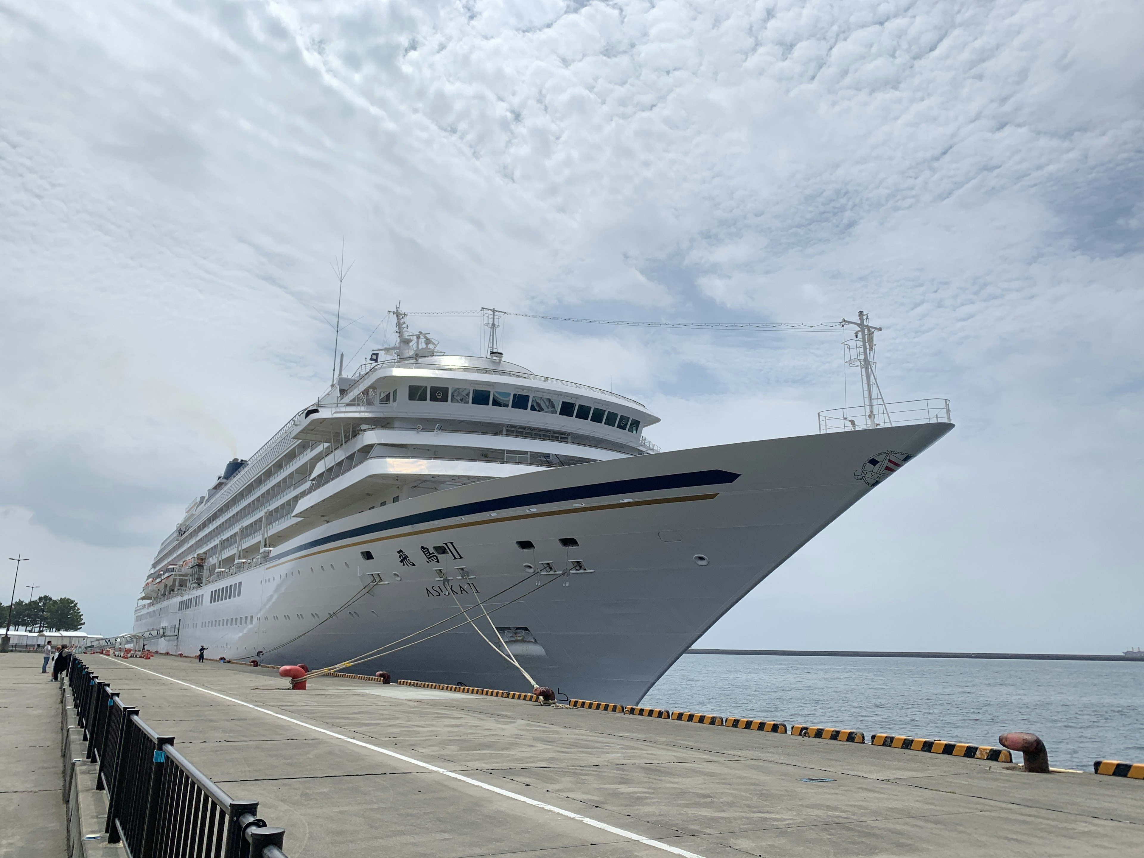 Großes Kreuzfahrtschiff im Hafen