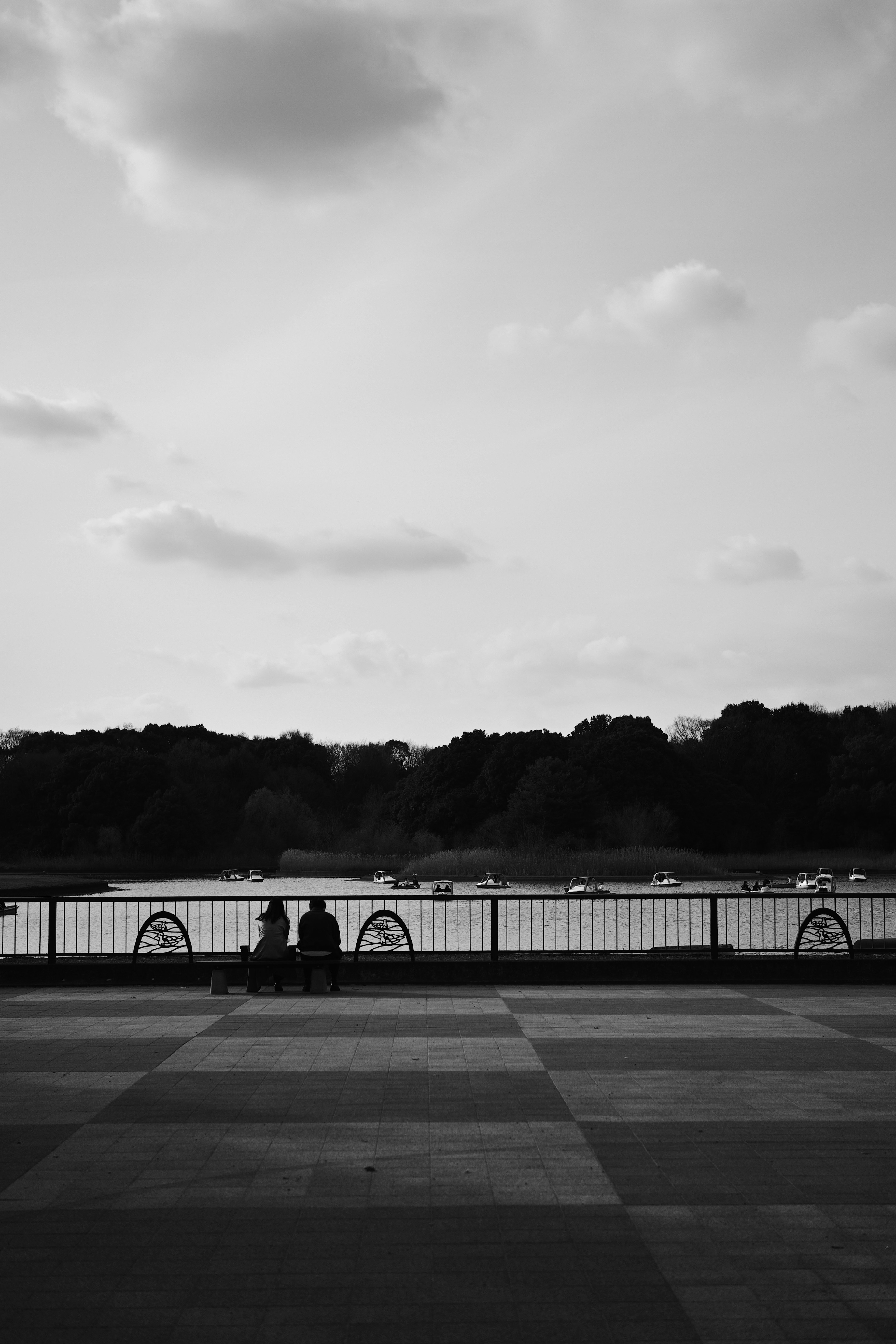 Silhouette de deux personnes assises près d'un lac dans un paysage en noir et blanc