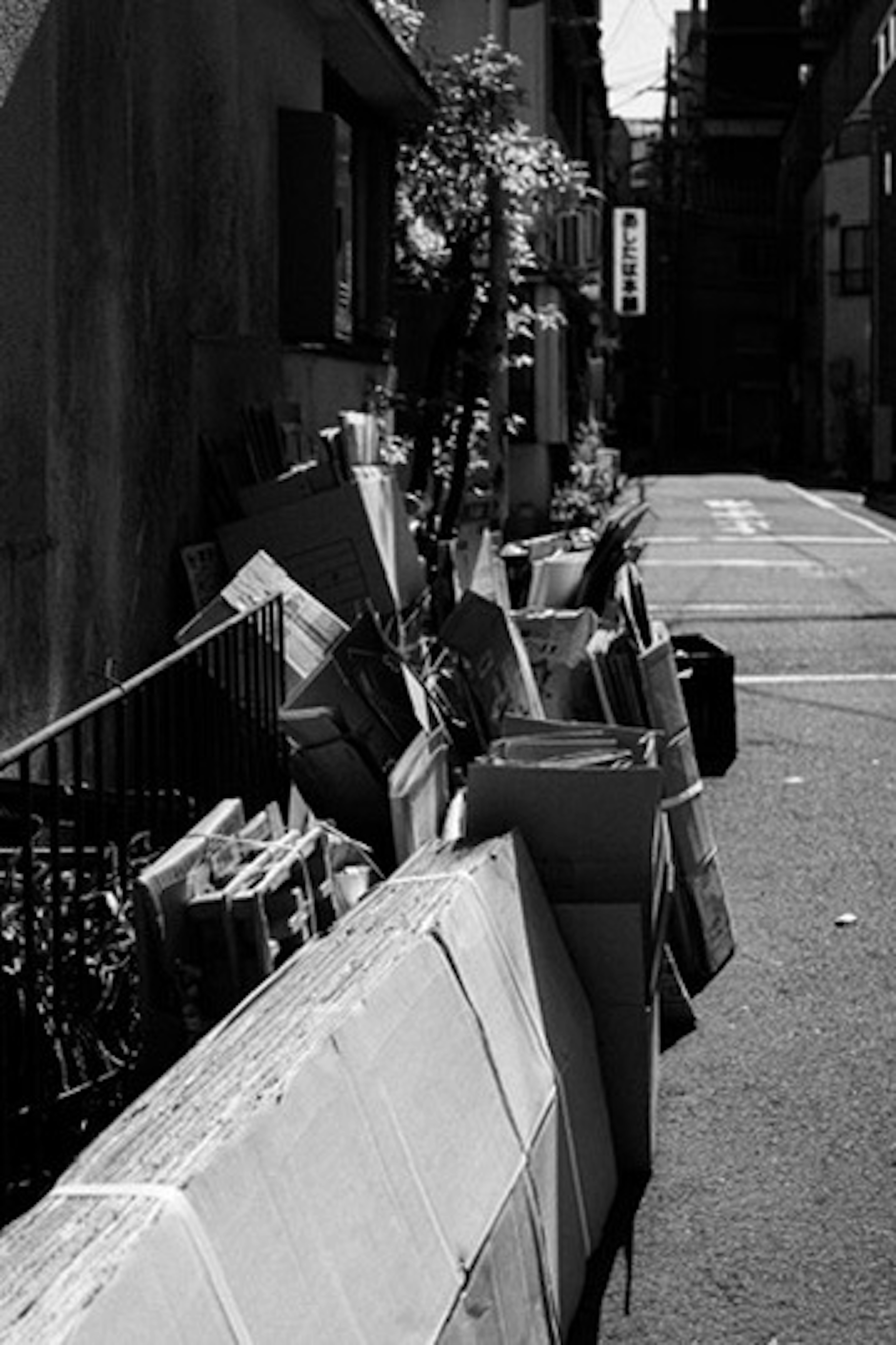 狭い路地に並ぶ段ボールと植物のあるモノクロの風景