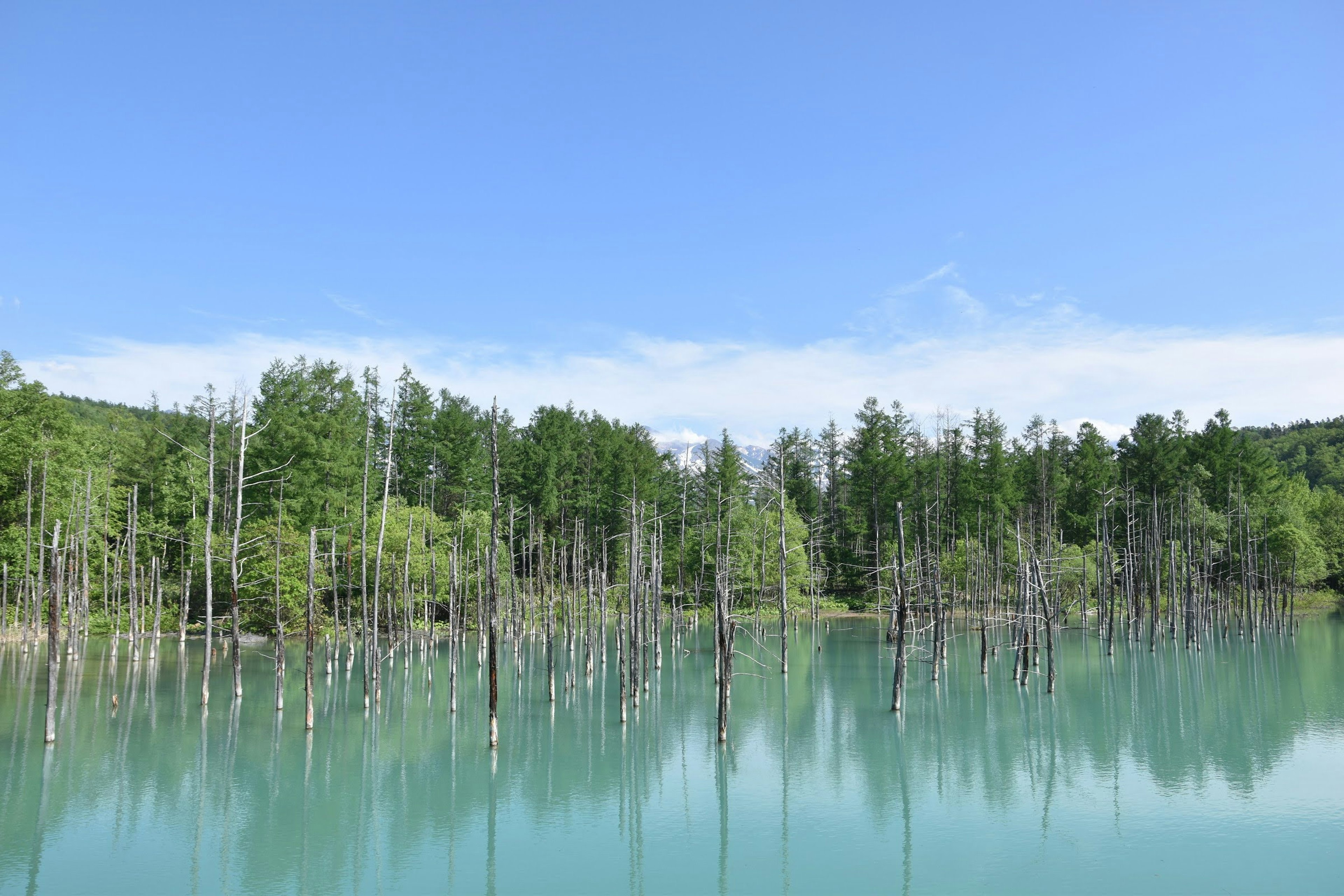 Un lago sereno con acqua turchese circondato da alberi verdi lussureggianti e un cielo blu chiaro