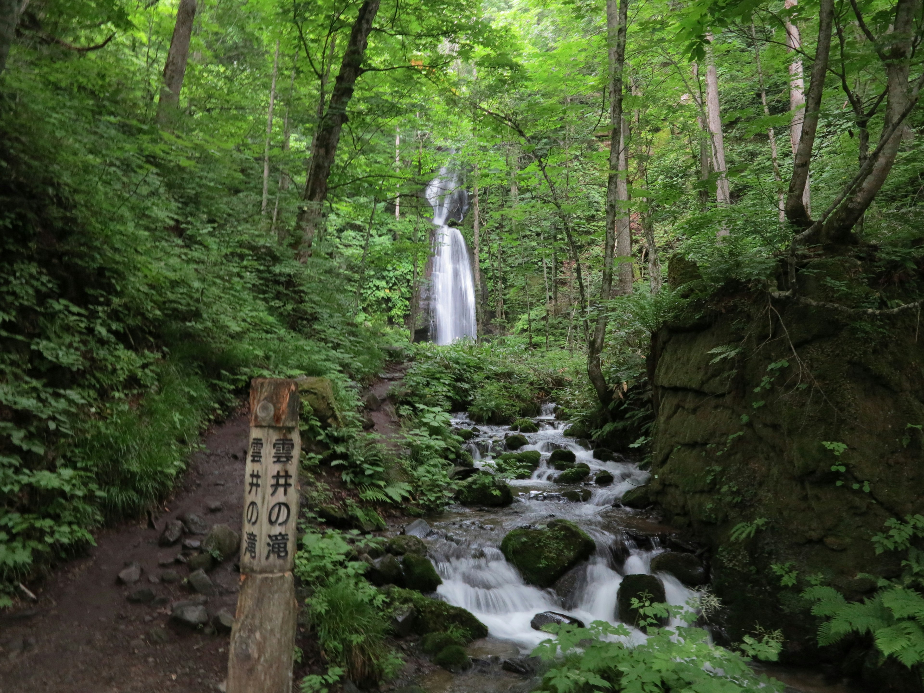 Malersicher Blick auf einen Wasserfall und einen Bach in einem üppigen Wald