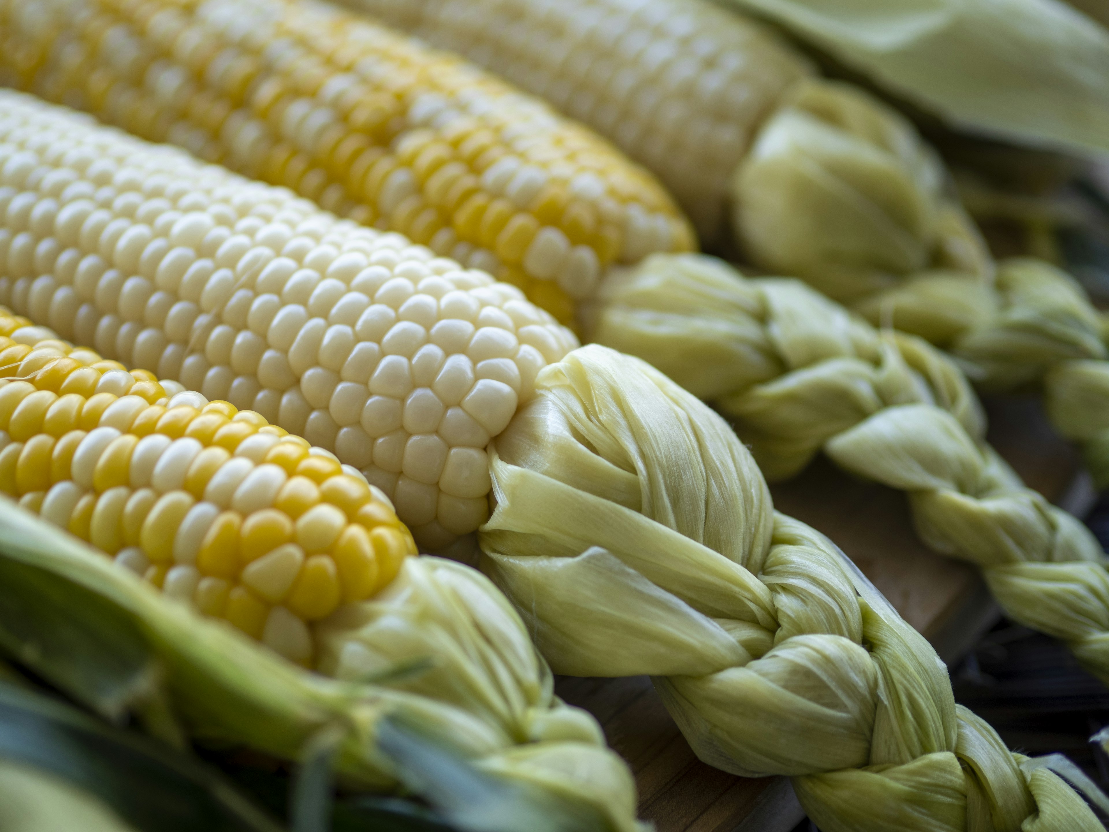 Fresh corn displayed in a row featuring yellow and white varieties