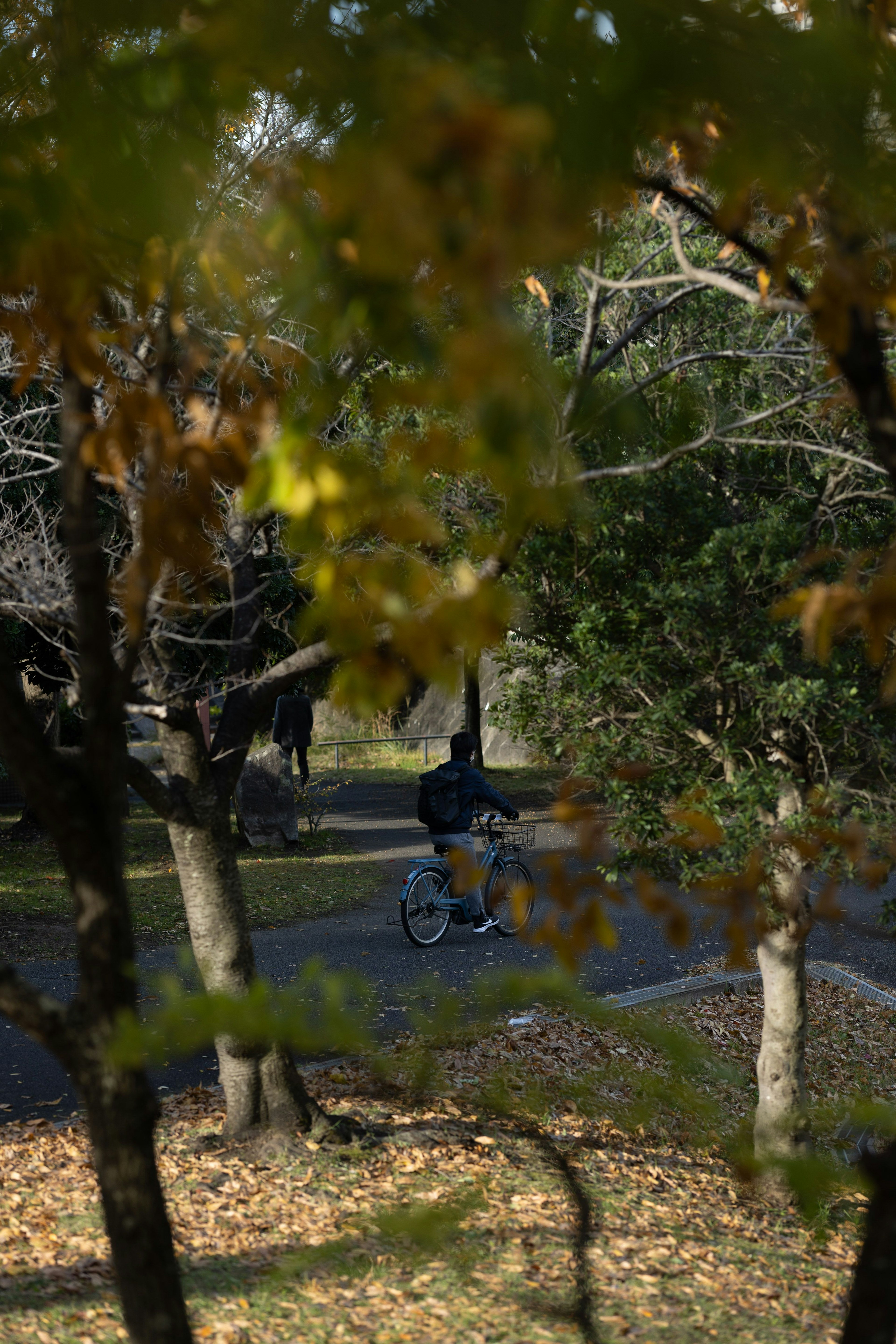 Person riding a bicycle in an autumn park with colorful trees