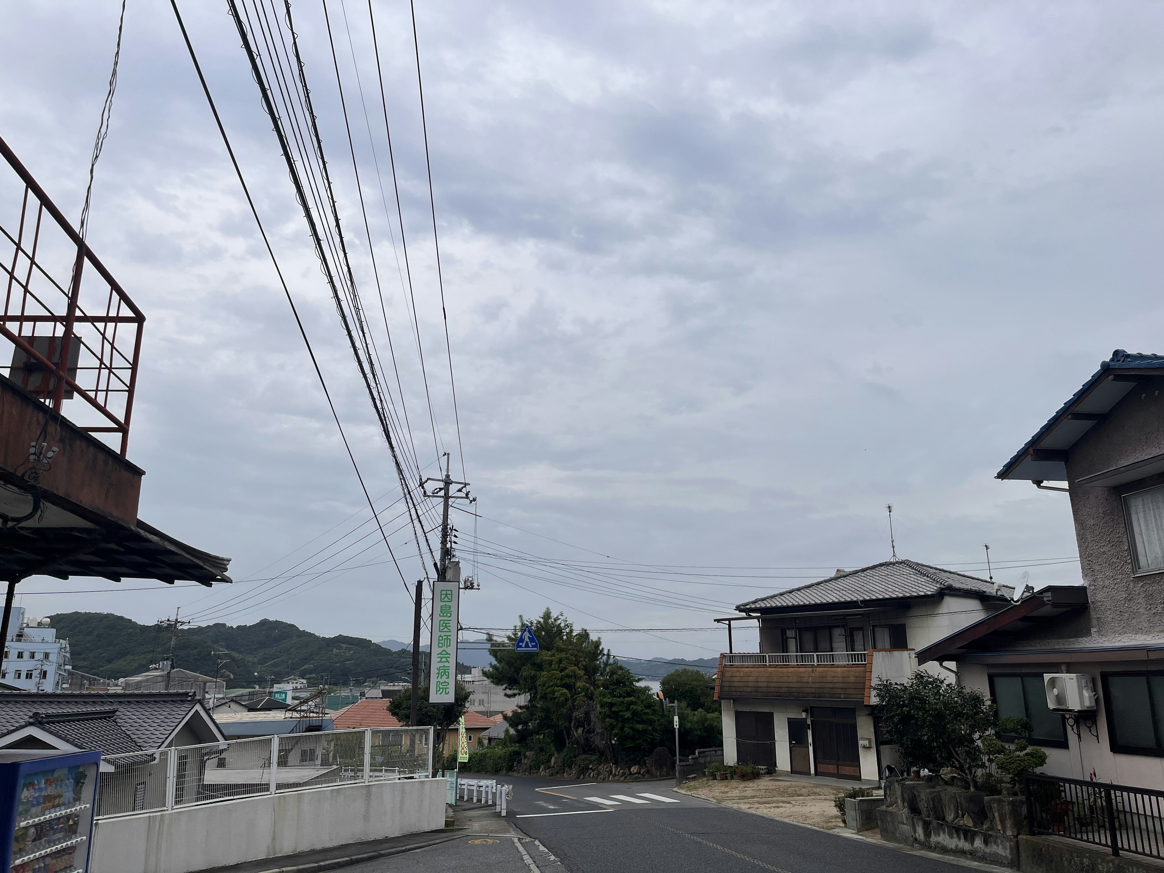 曇り空の下、静かな住宅街の風景と電線が見える