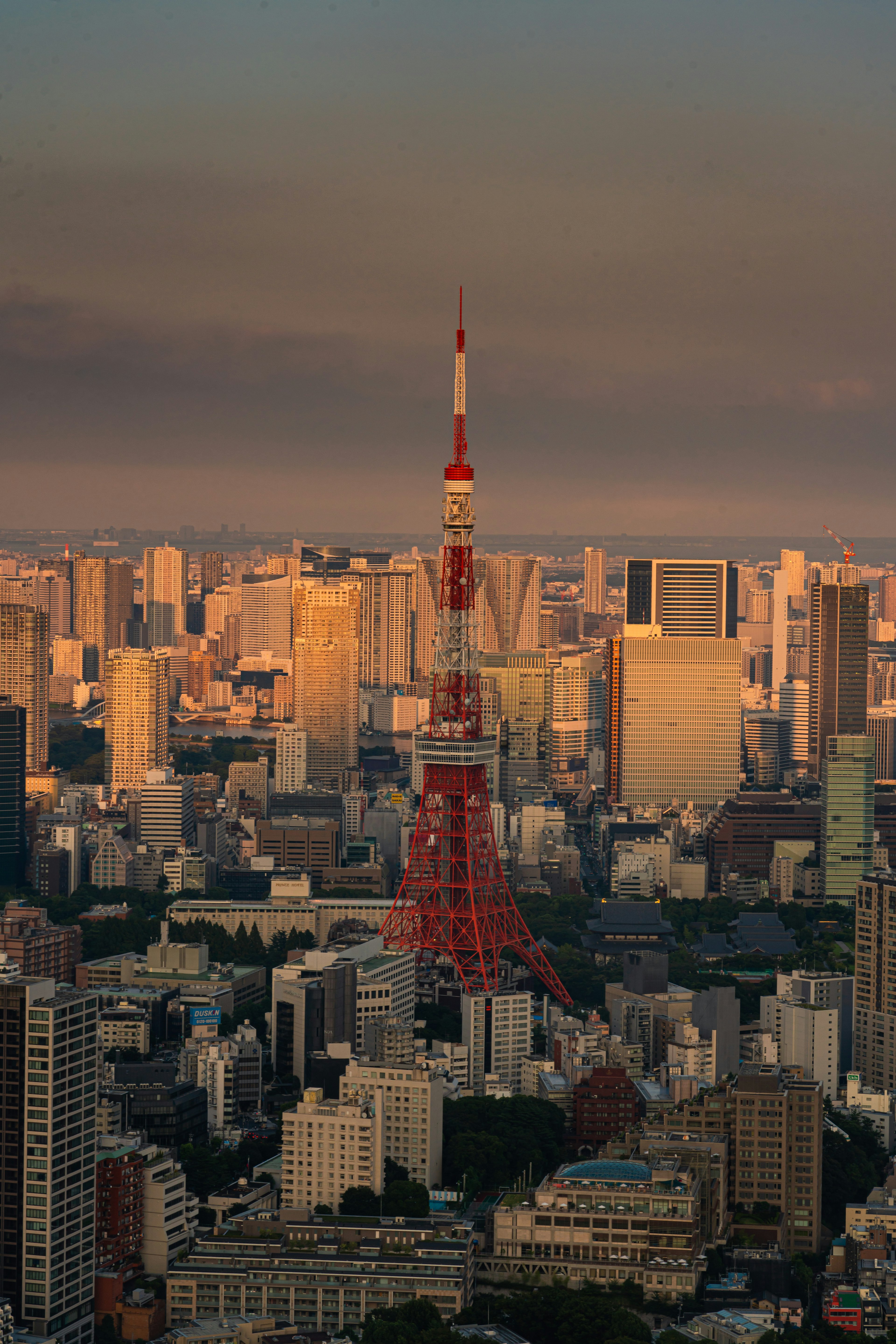 東京タワーが夕暮れ時の都市の中にそびえ立つ景色