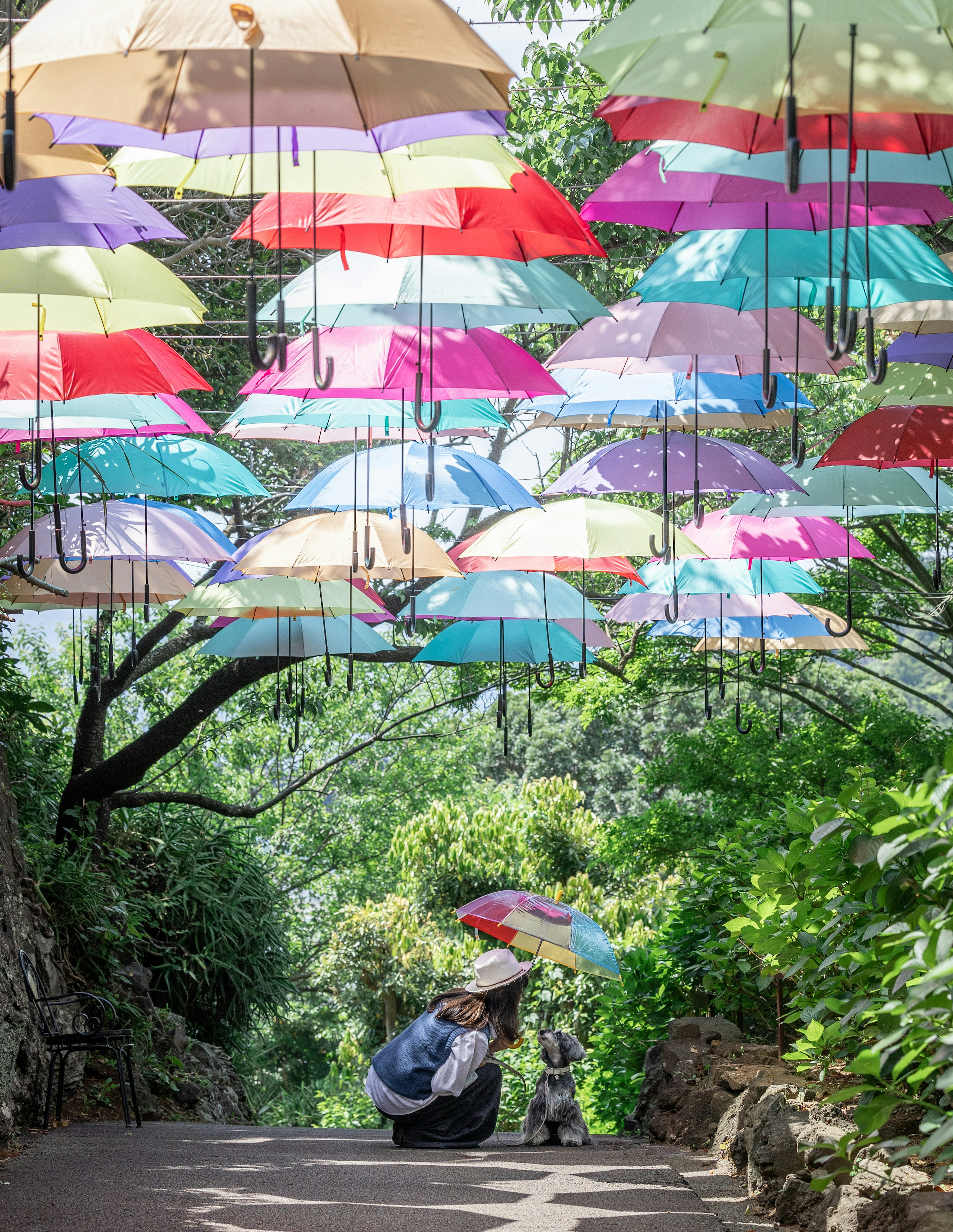 Des parapluies colorés suspendus au-dessus d'un chemin verdoyant avec des personnes profitant en dessous