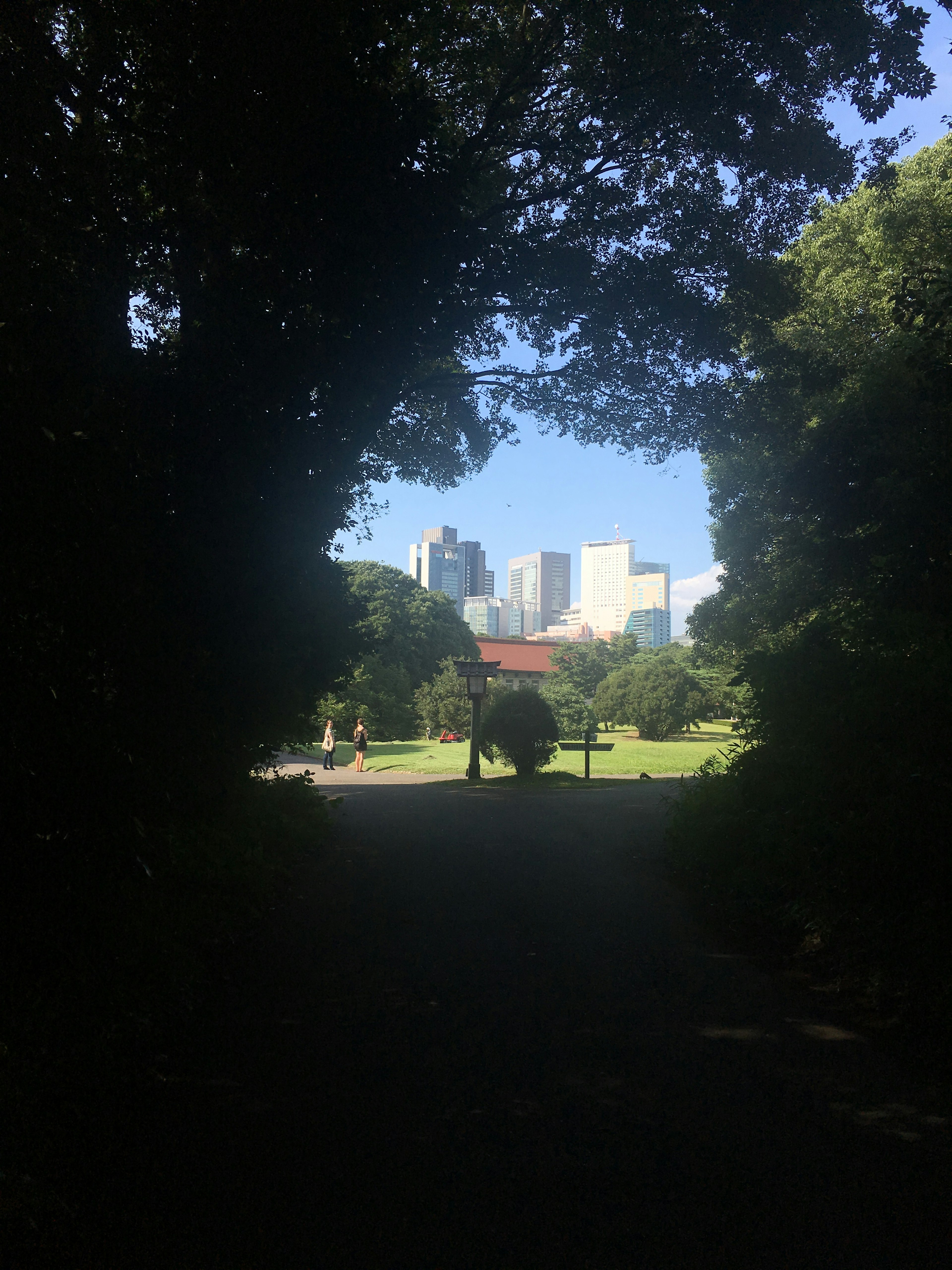 View of a city skyline through trees in a park pathway