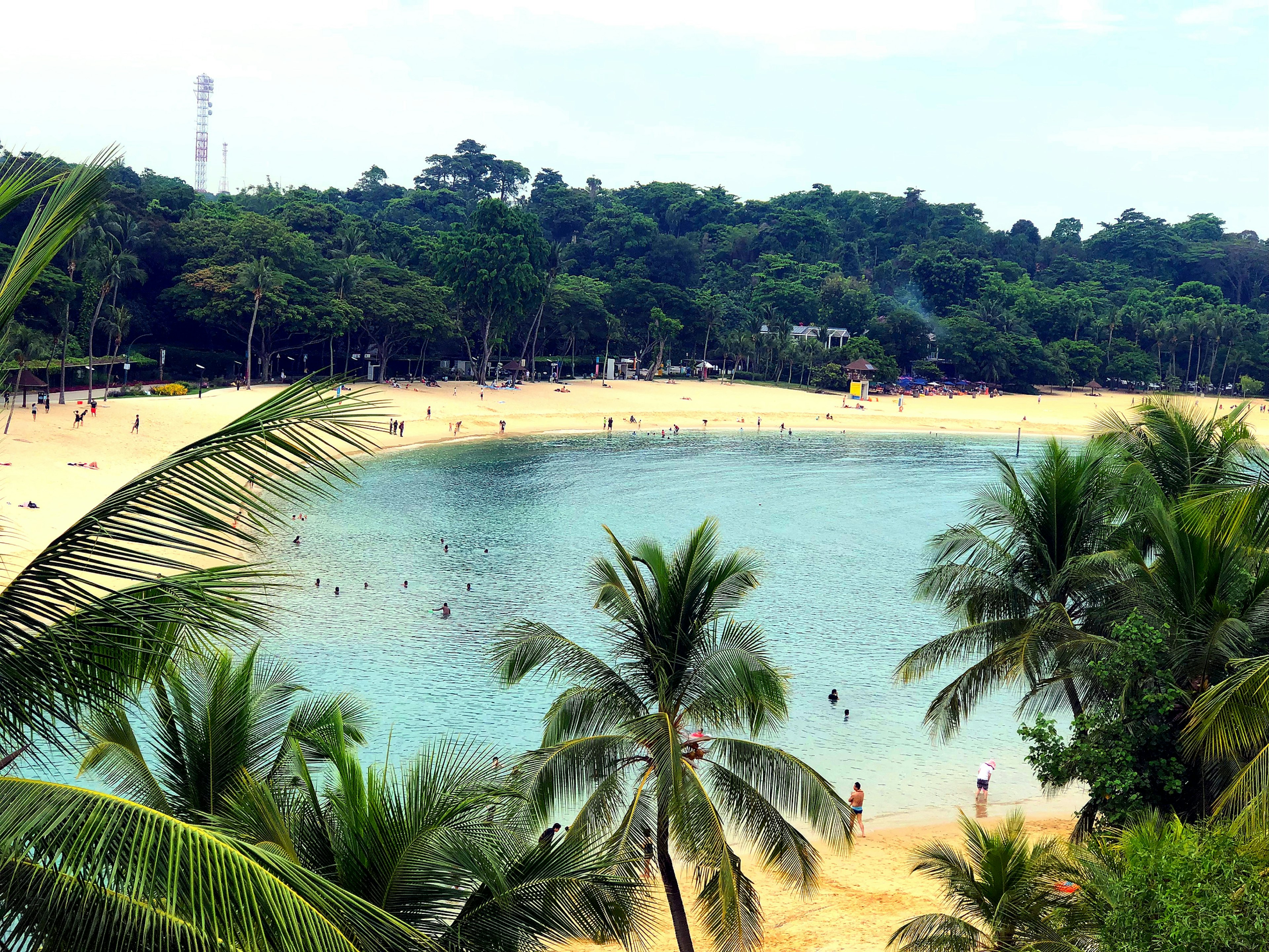 Scenic beach view with blue water and green palm trees, relaxing atmosphere