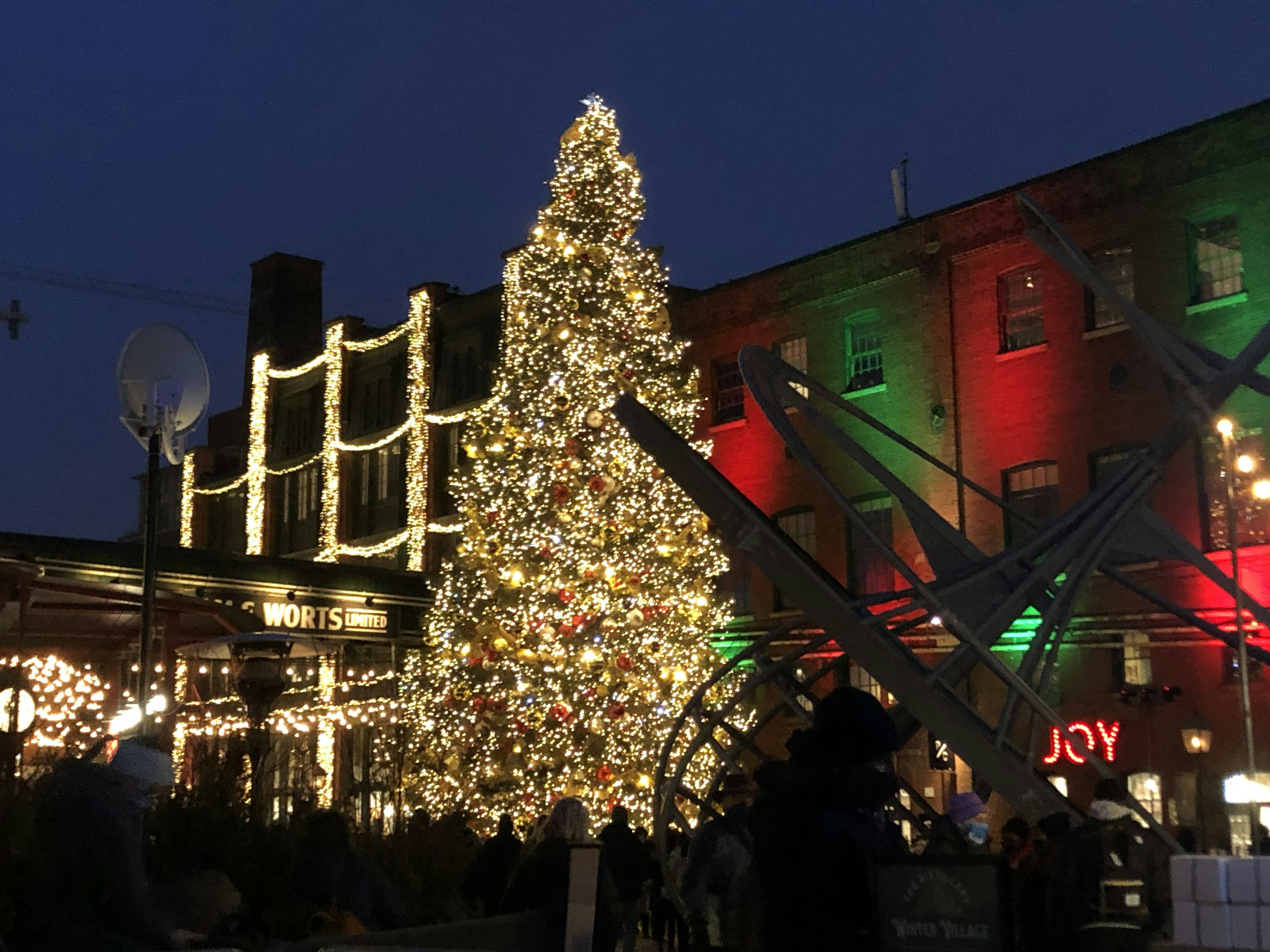 夜のクリスマスツリーがライトで飾られた街の風景