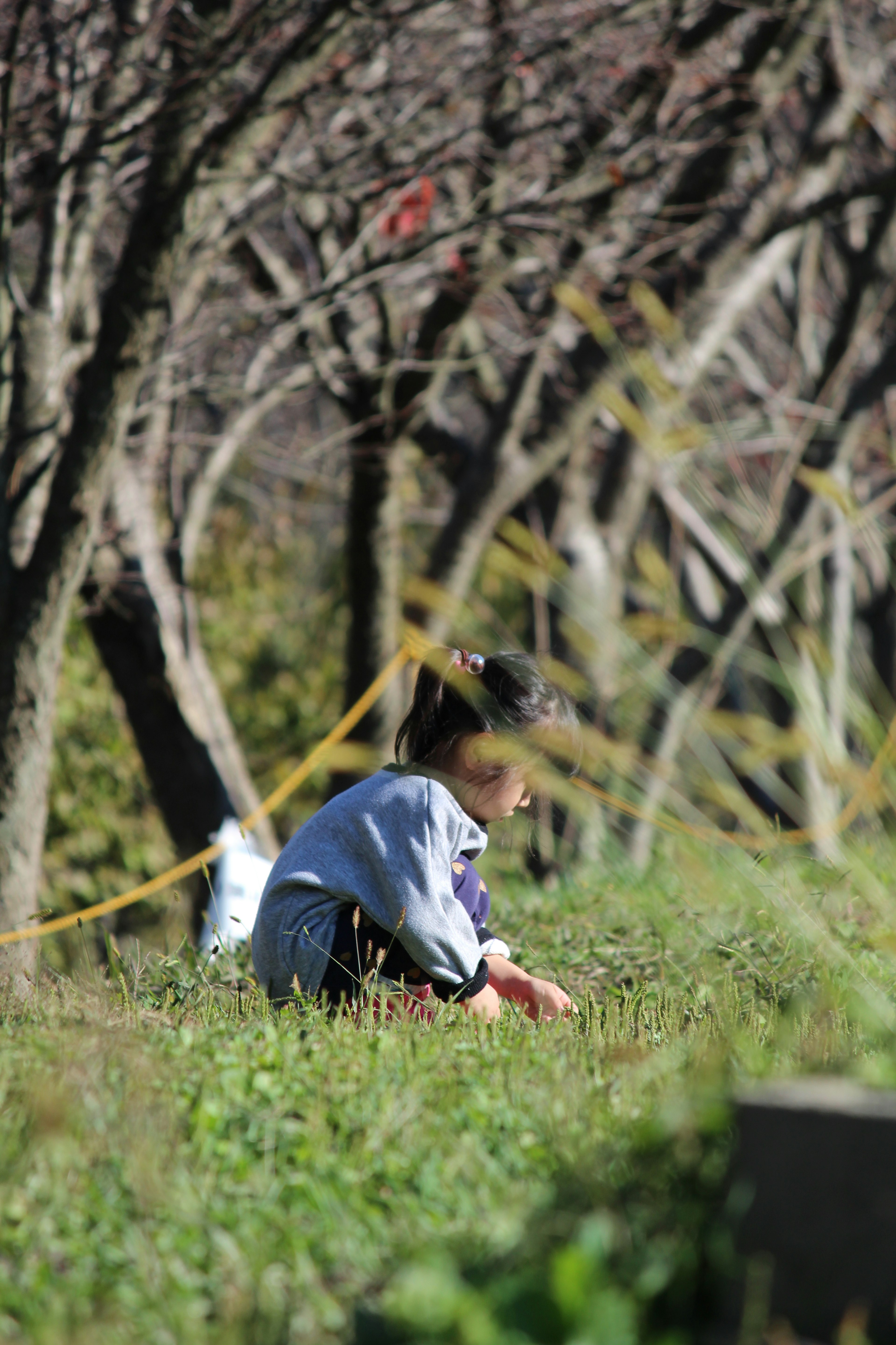 孩子坐在公園裡採集草，背景是樹木