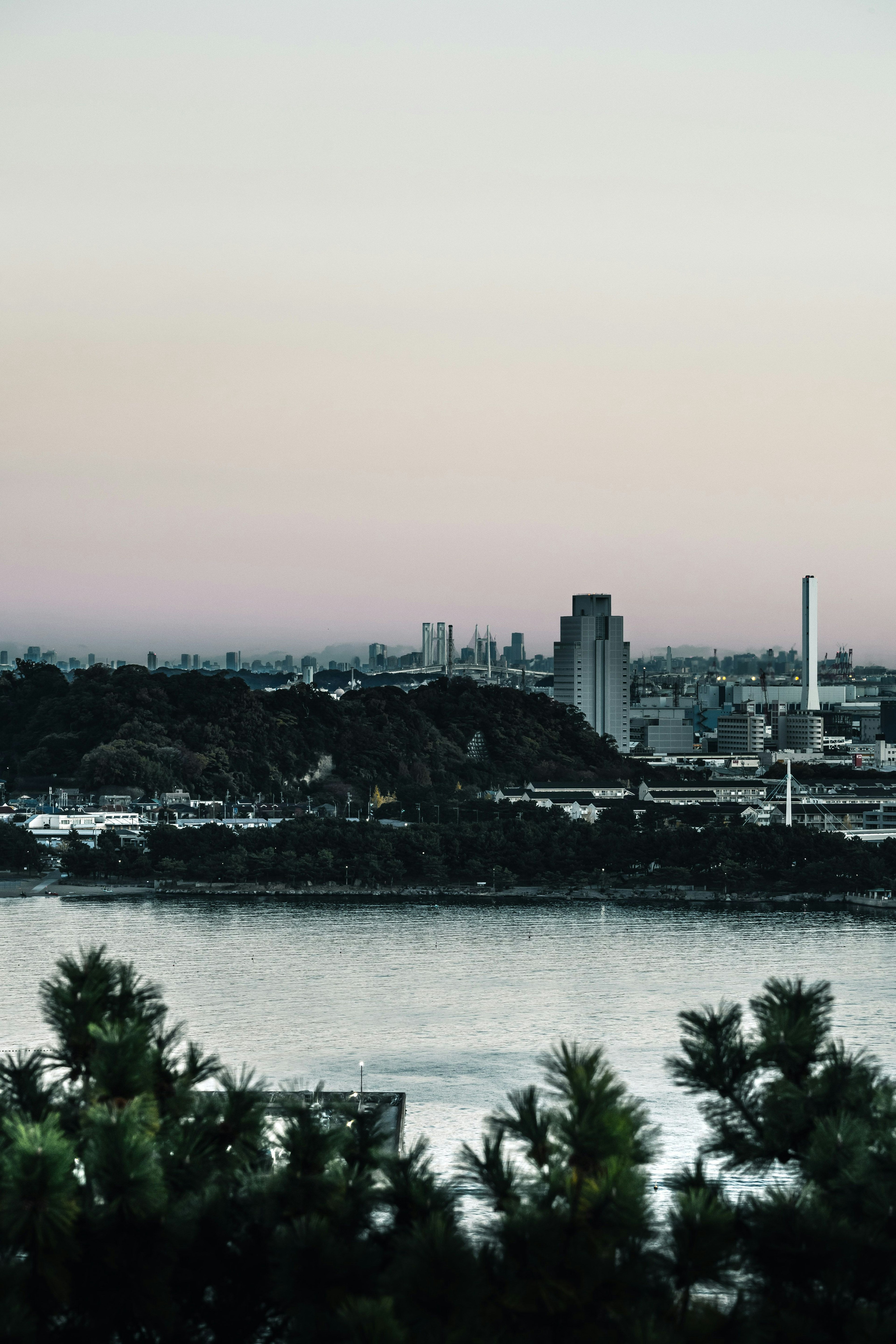 Una vista serena dello skyline di una città vicino all'acqua durante il crepuscolo