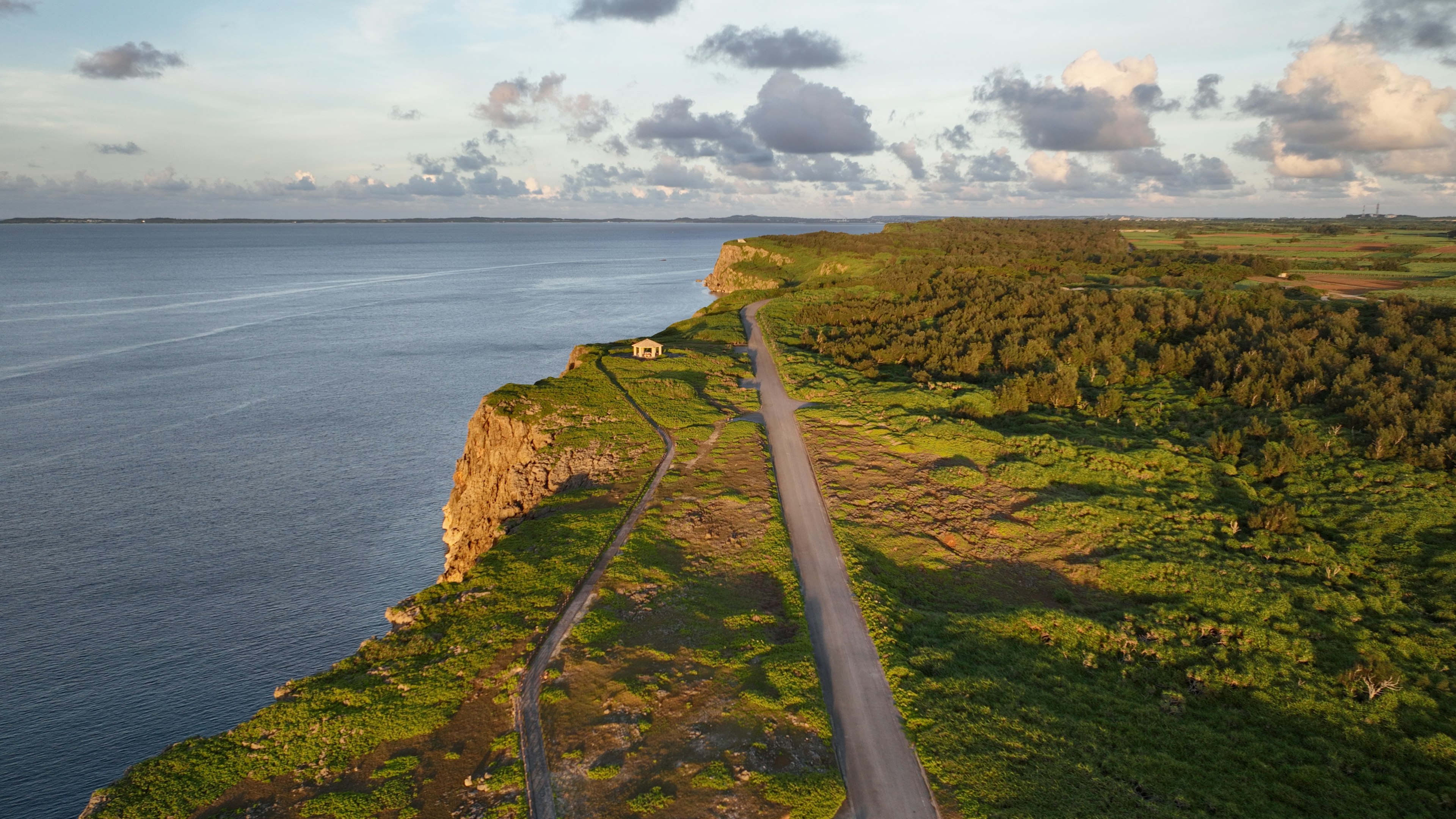 Scenic view of a coastal road with lush greenery and ocean