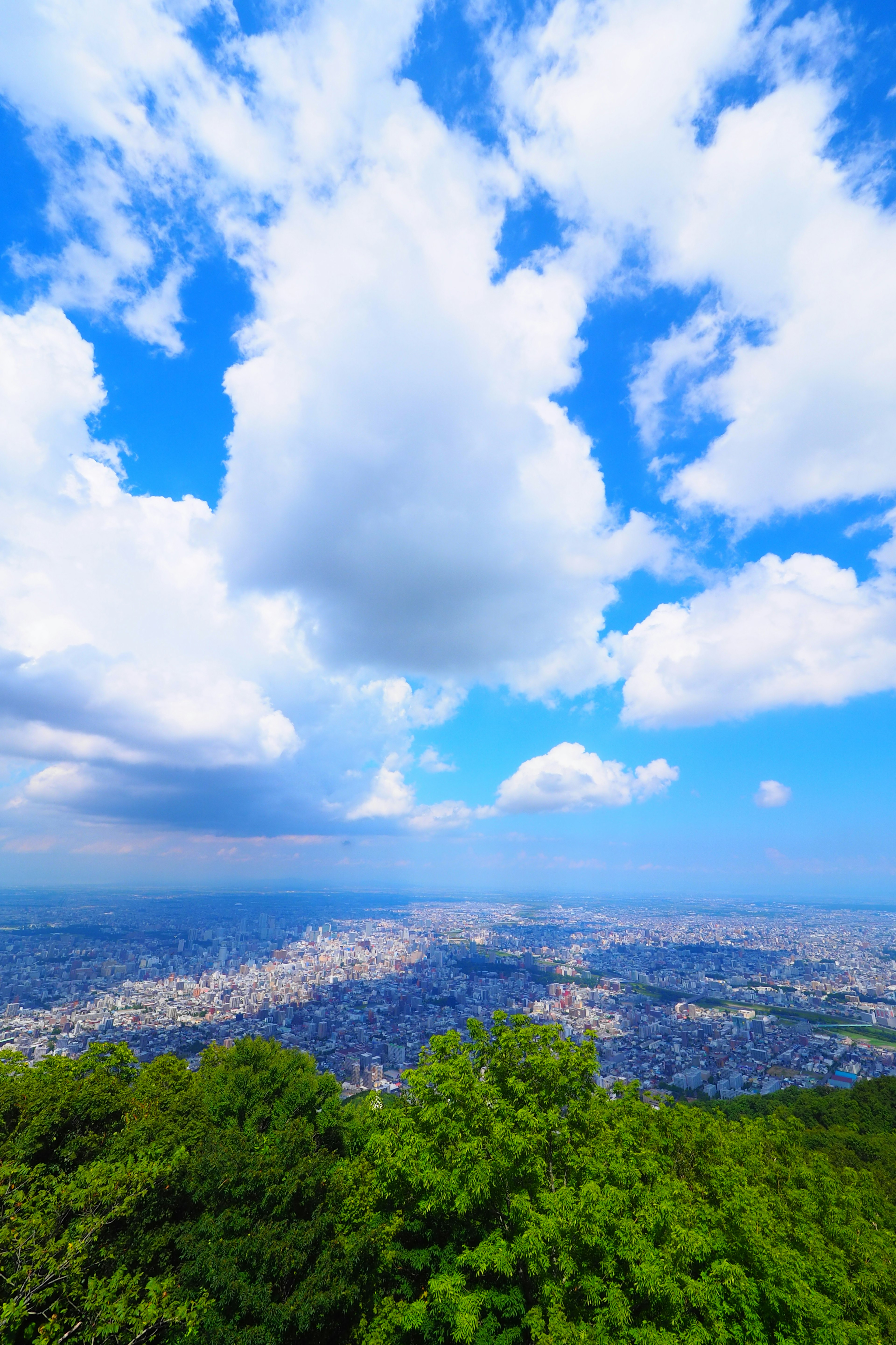 Pemandangan panorama dari puncak gunung menunjukkan langit biru dan awan dengan pohon hijau dan pemandangan kota