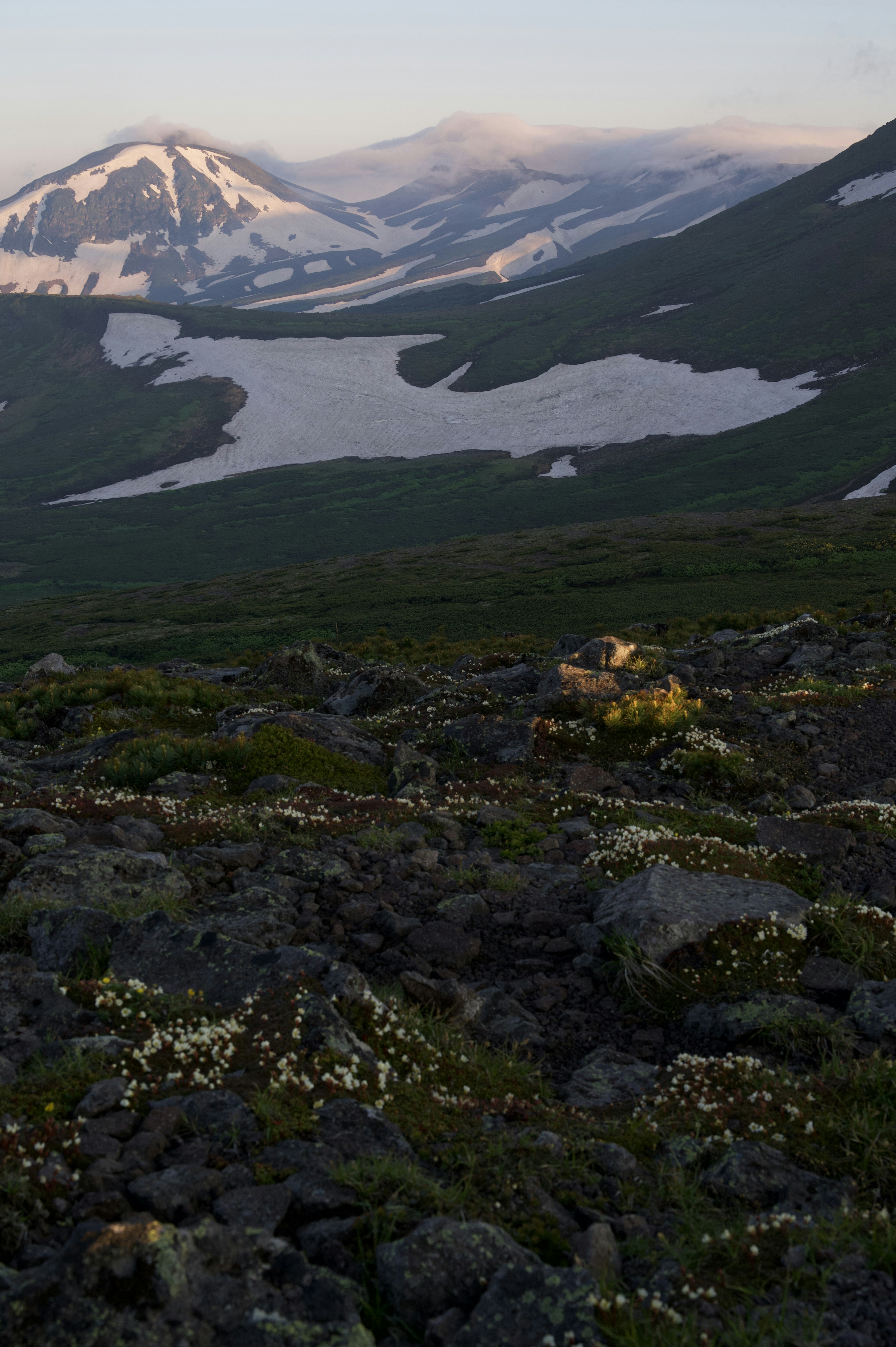 Paysage de montagne avec des sommets enneigés et des prairies verdoyantes